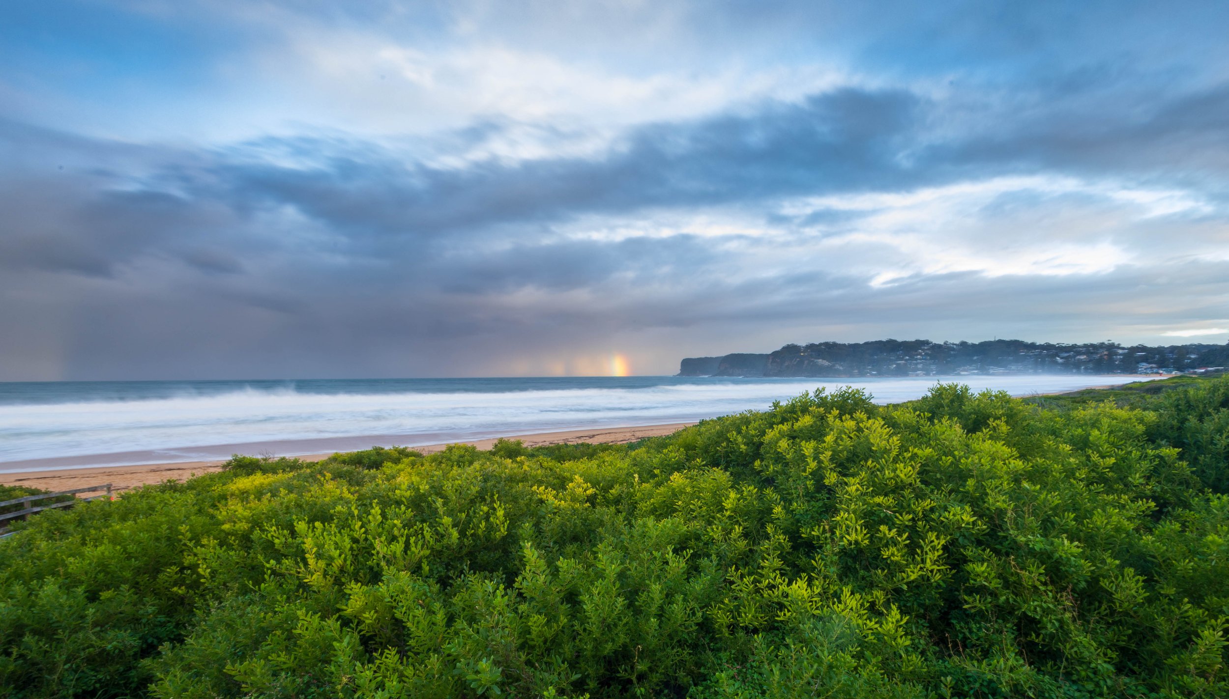 Avoca_.jpg