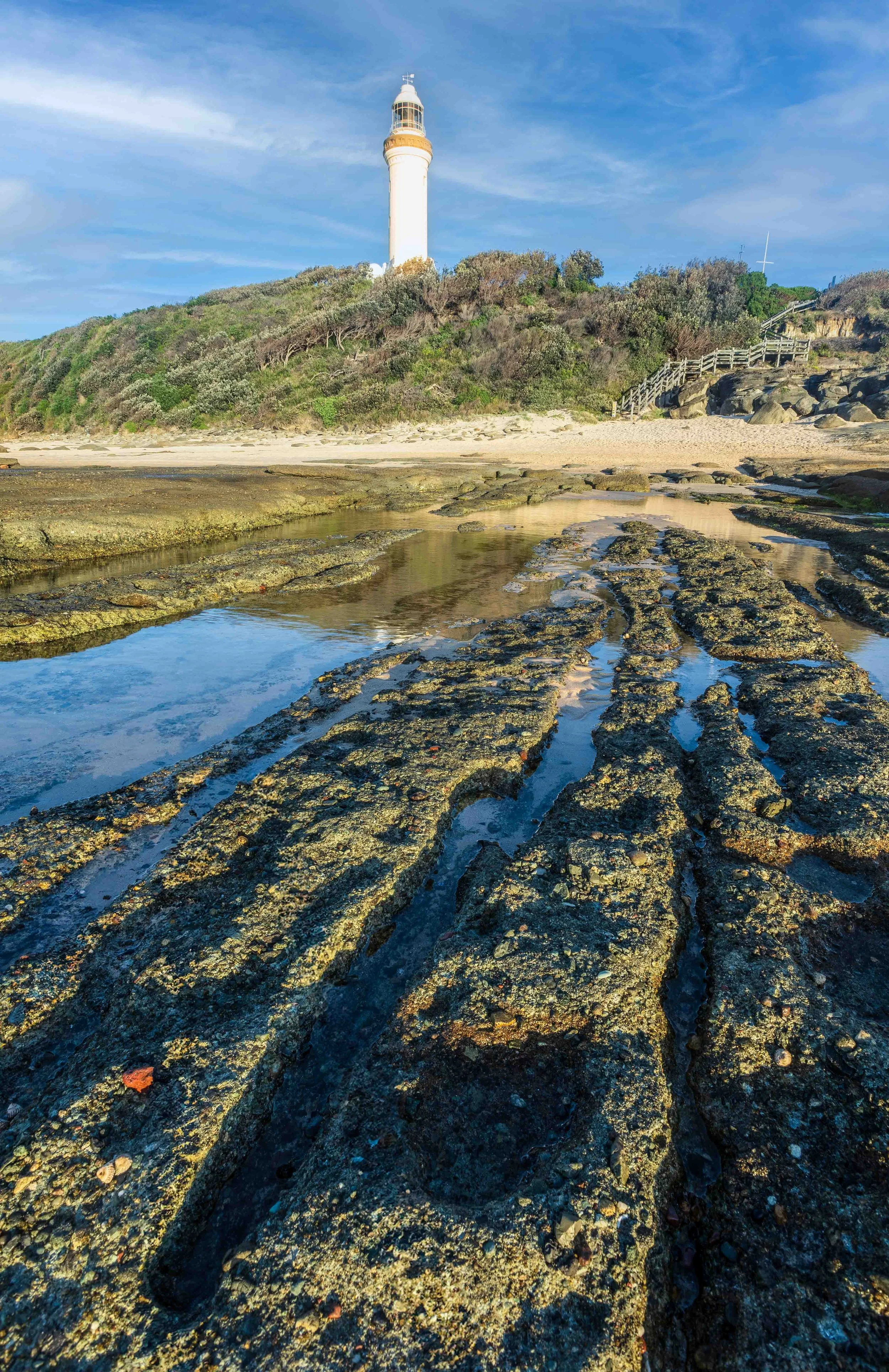 Centralcoast-2.jpg