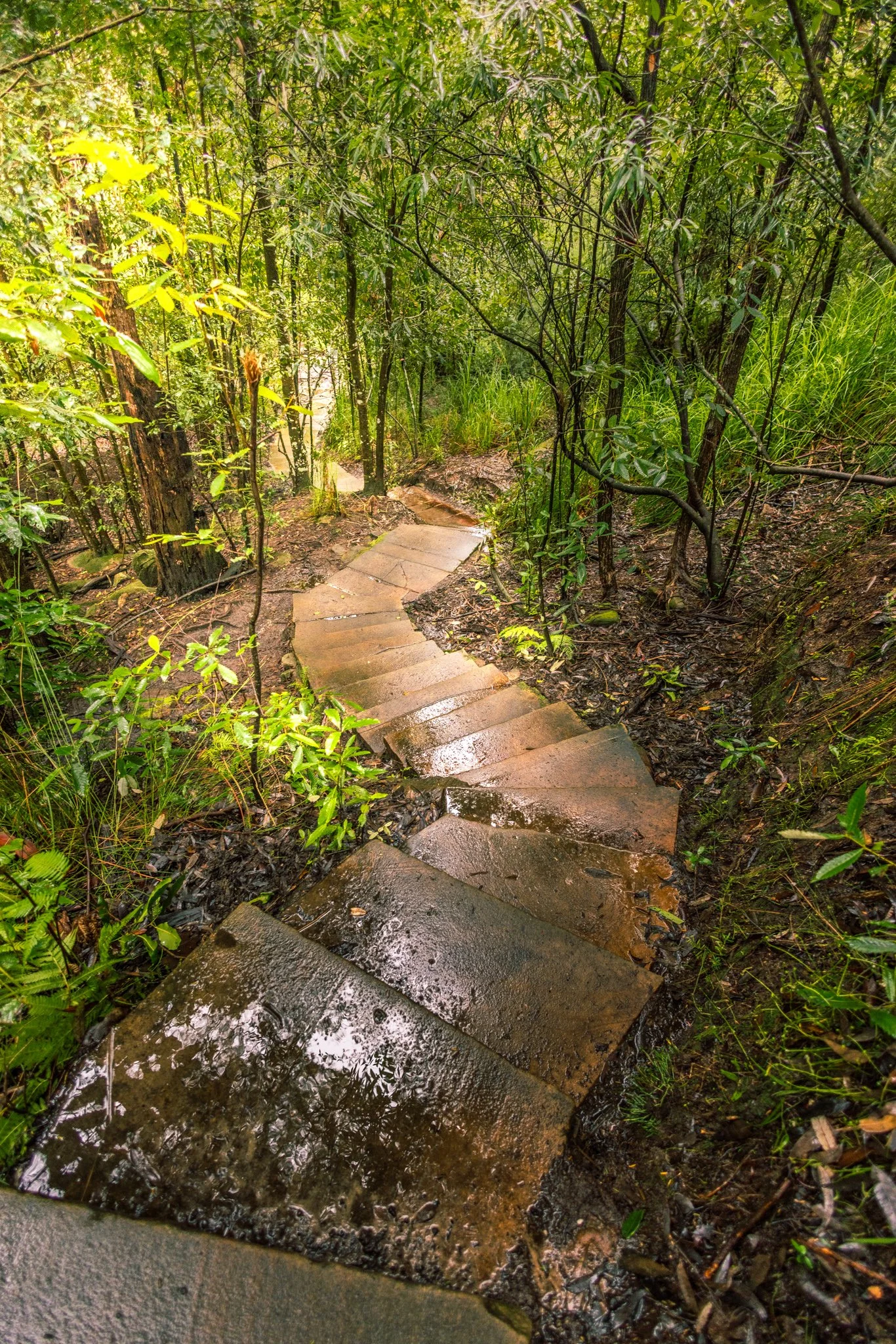 Somersby Falls_.jpg