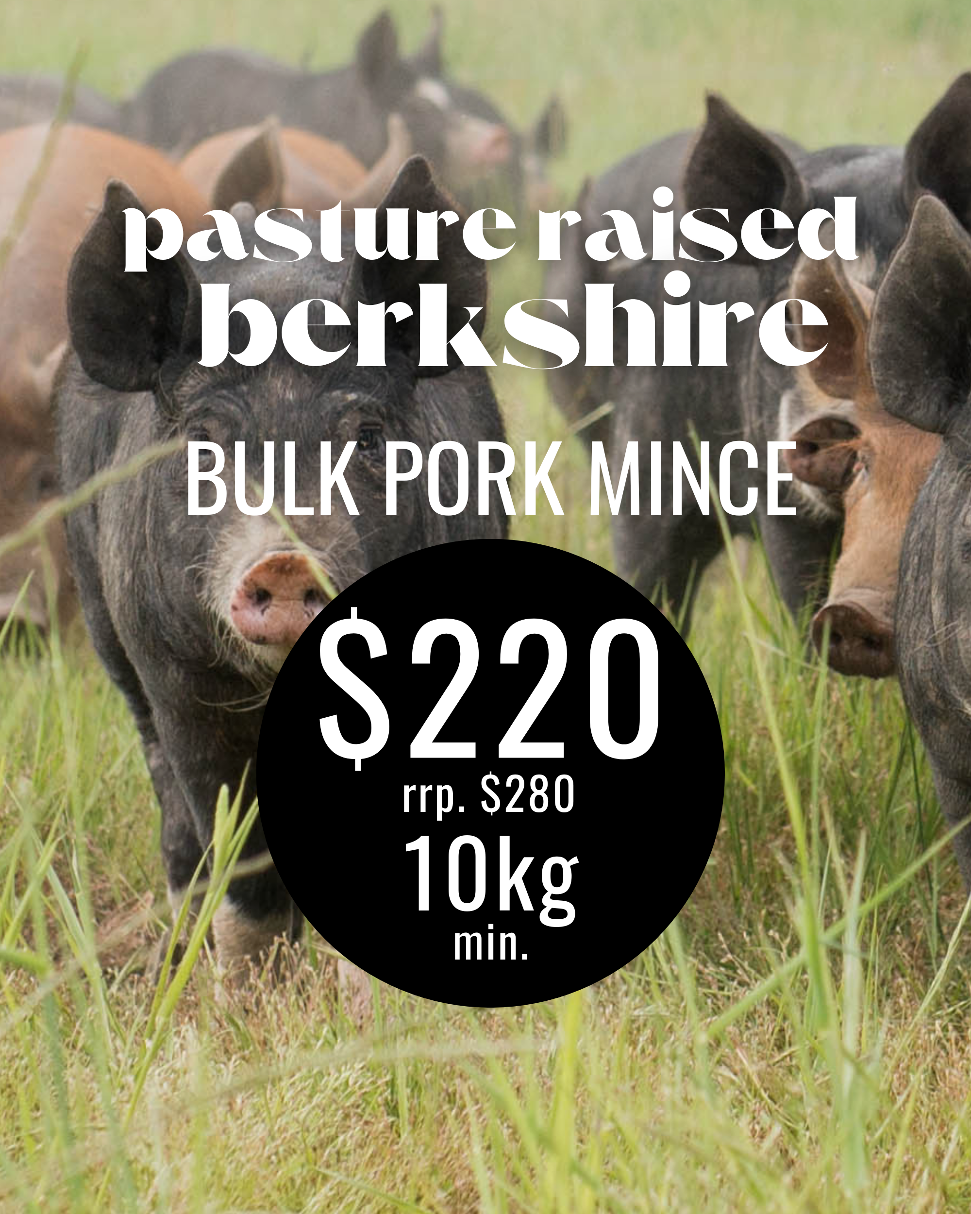 Bulk Pork Mince 10kg.png