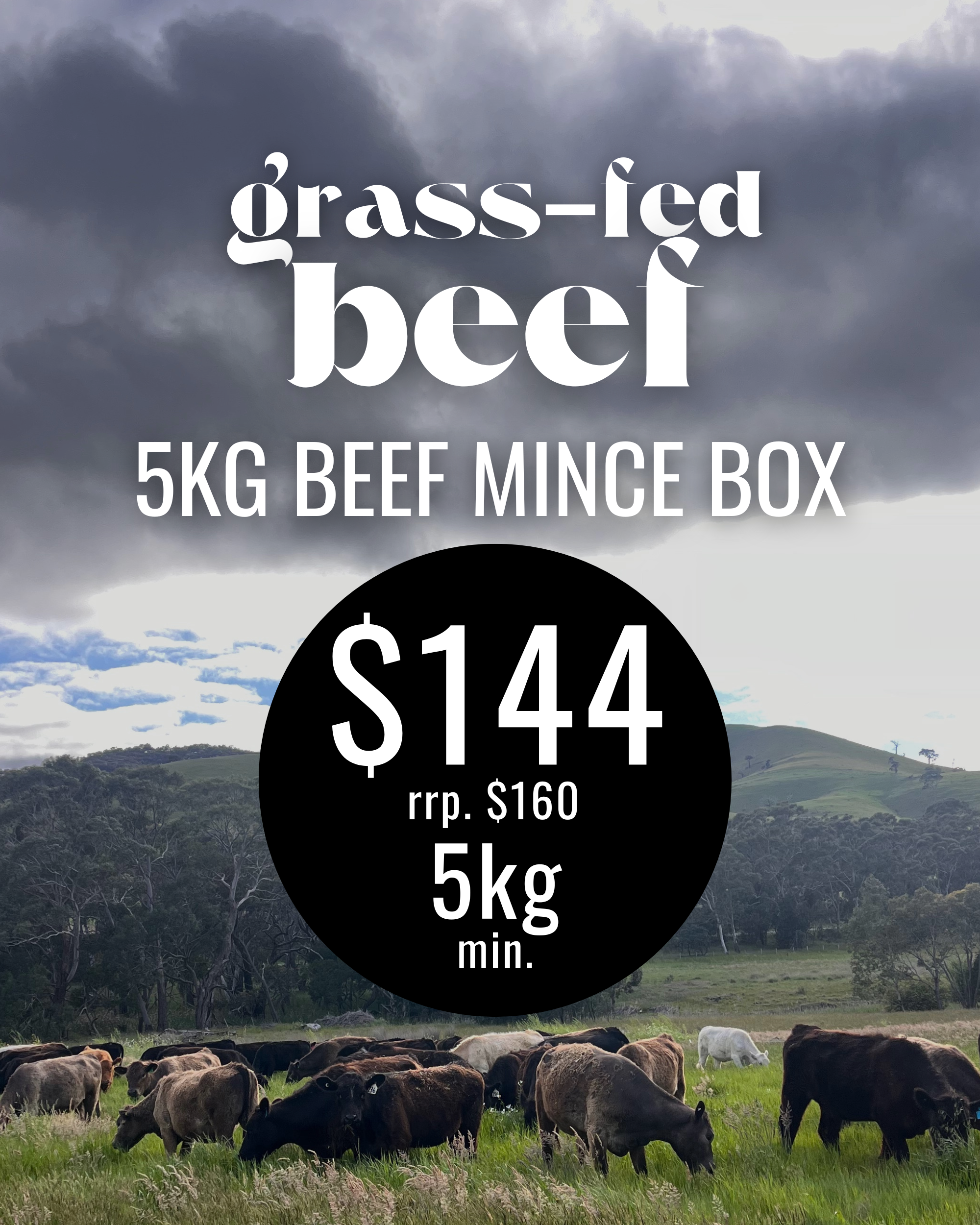5kg Beef Mince (2000 x 2500 px).png