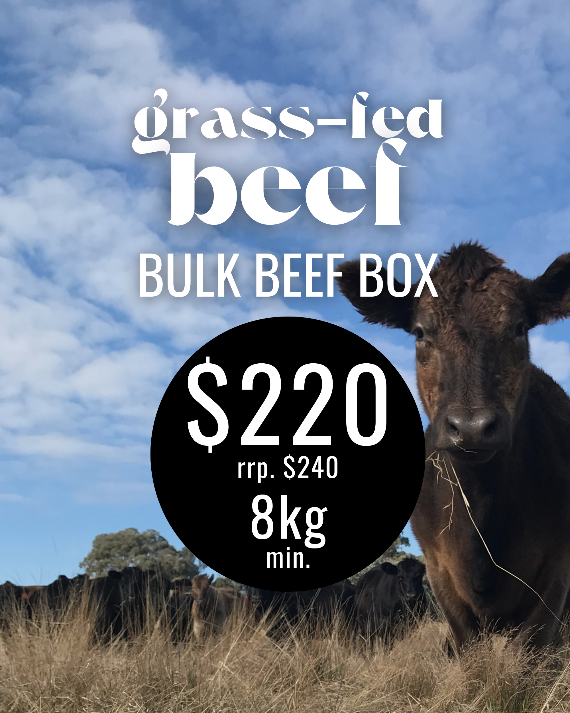 Beef box 2.png