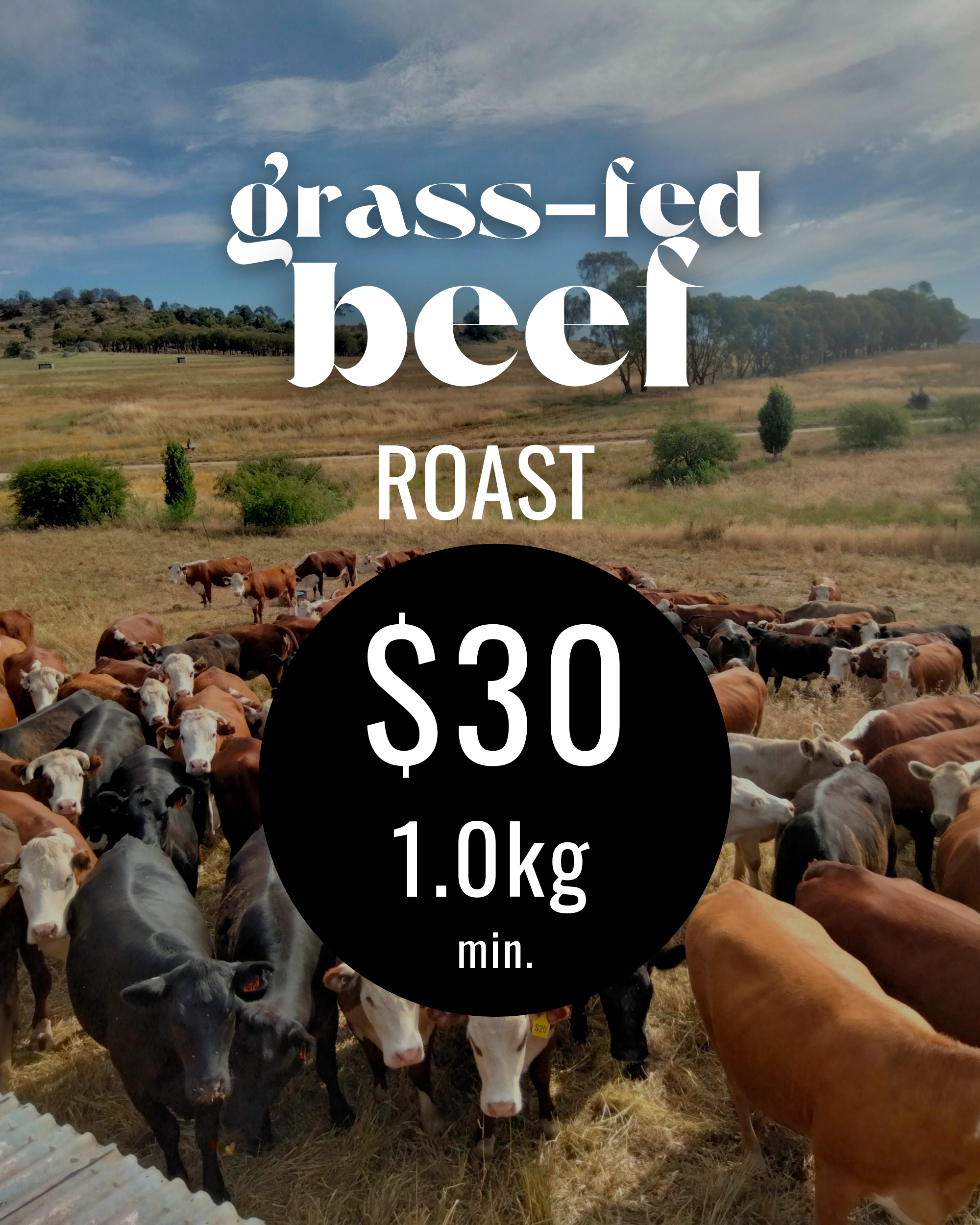 Beef ribs (3).png