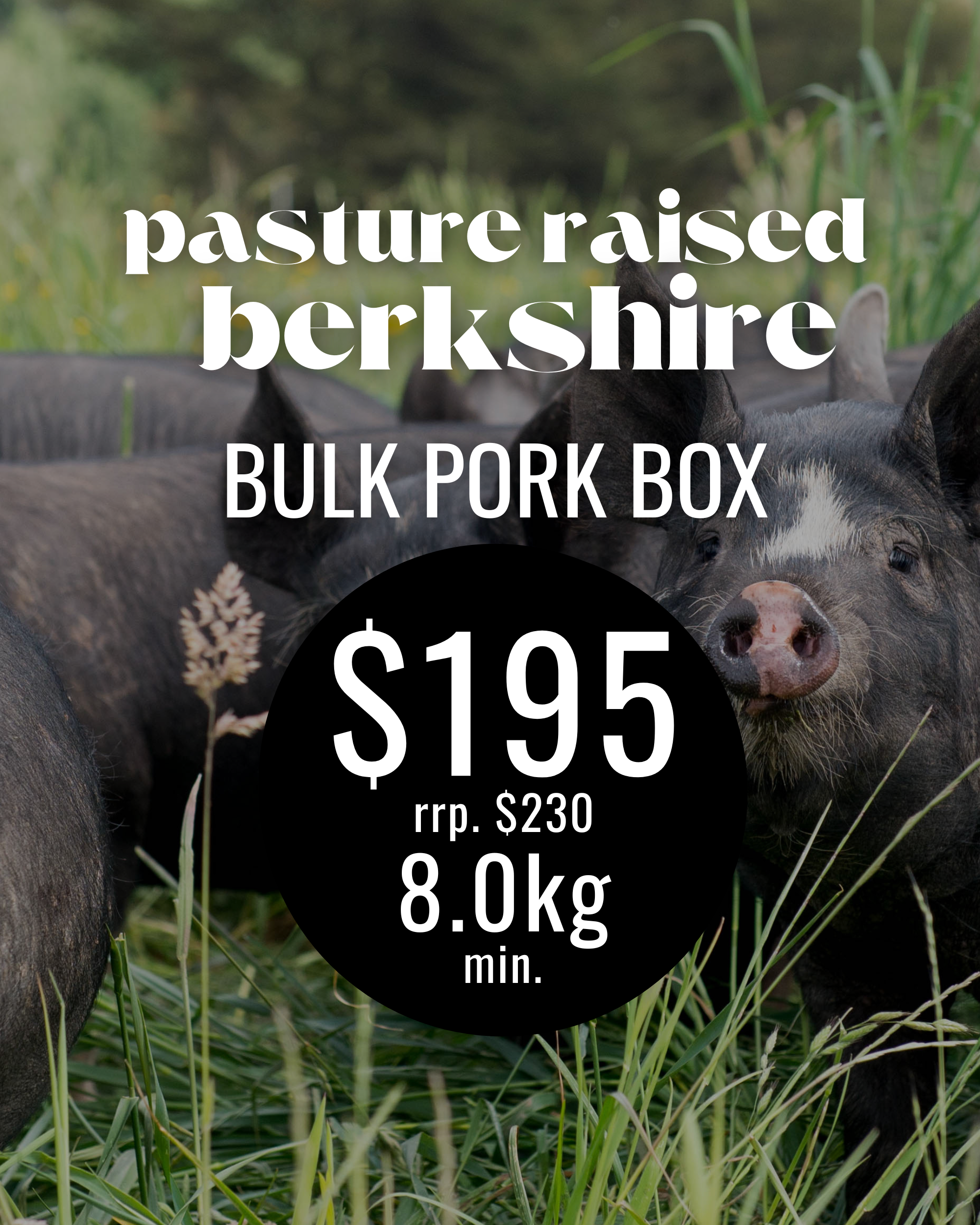 Bulk Pork Box 8kg.png