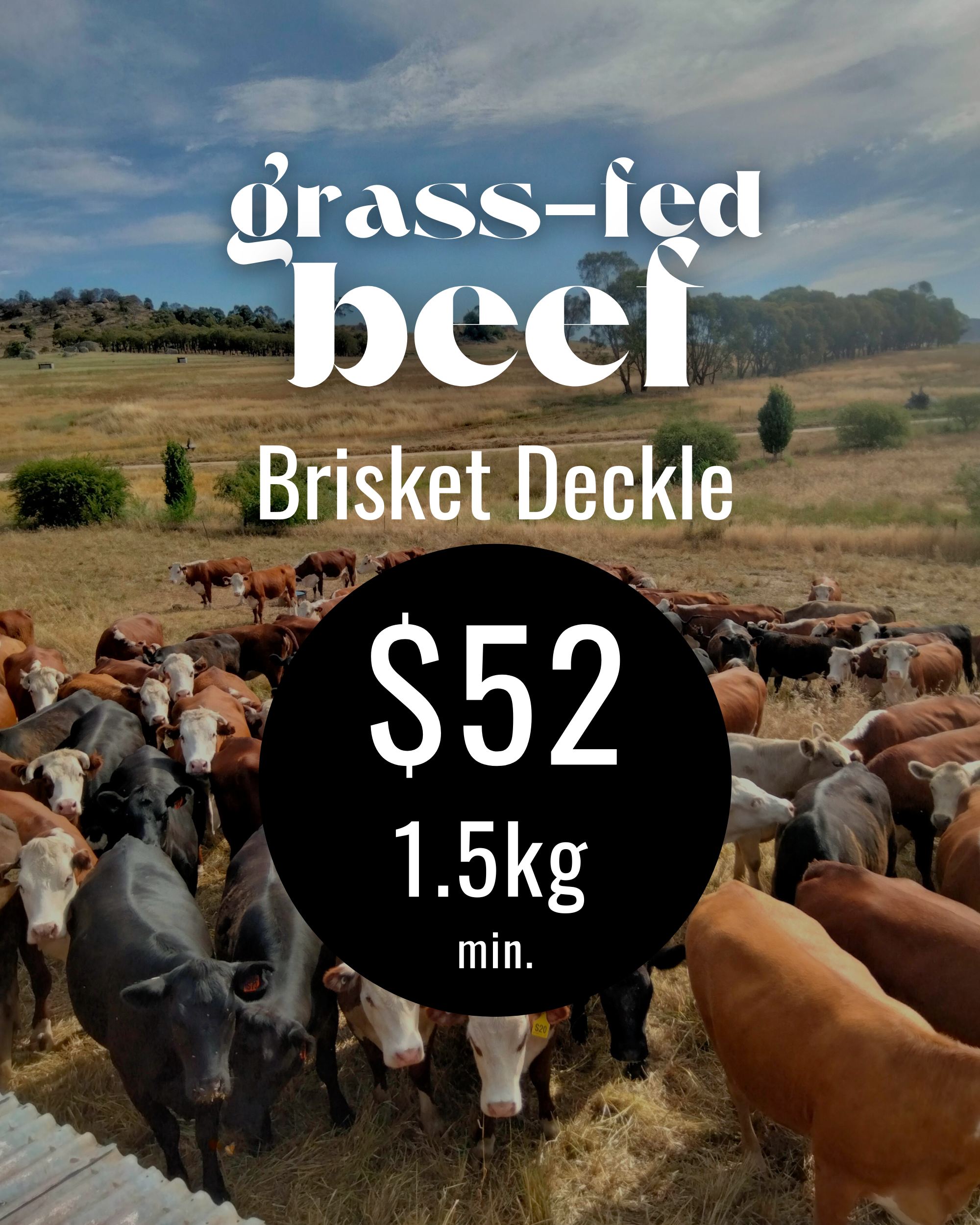Beef ribs (2).png