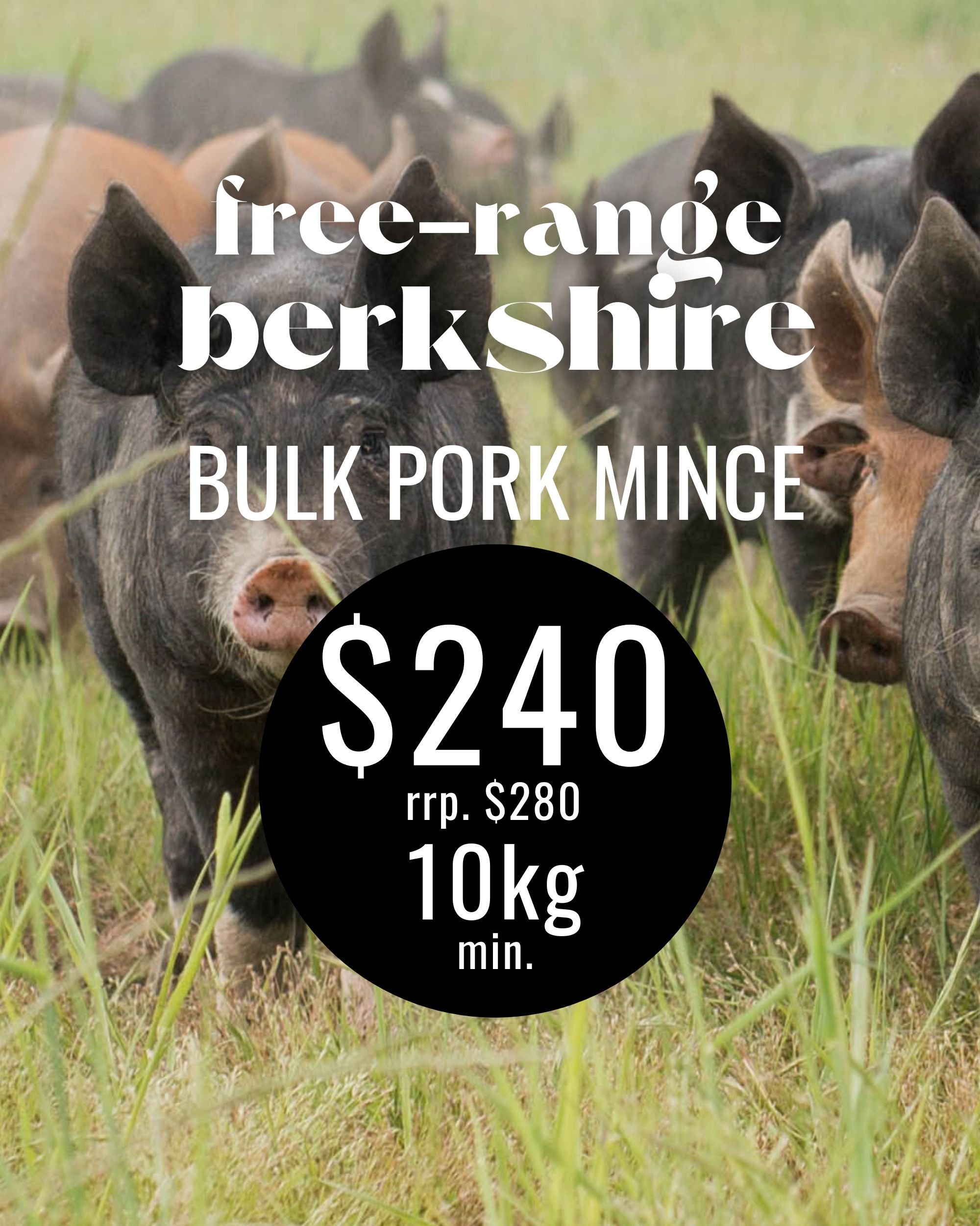 Bulk Pork Mince.jpg