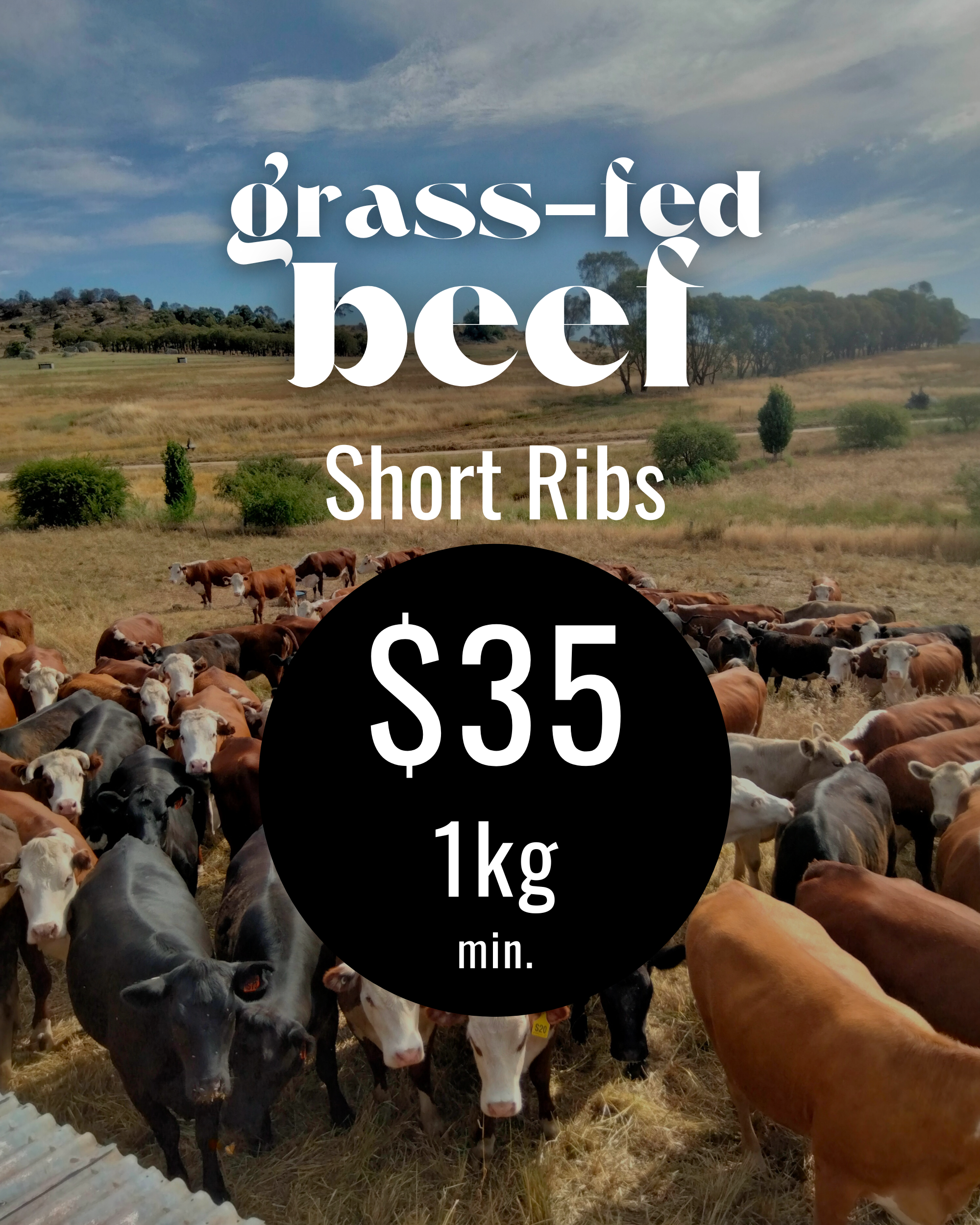 Beef ribs (1).png