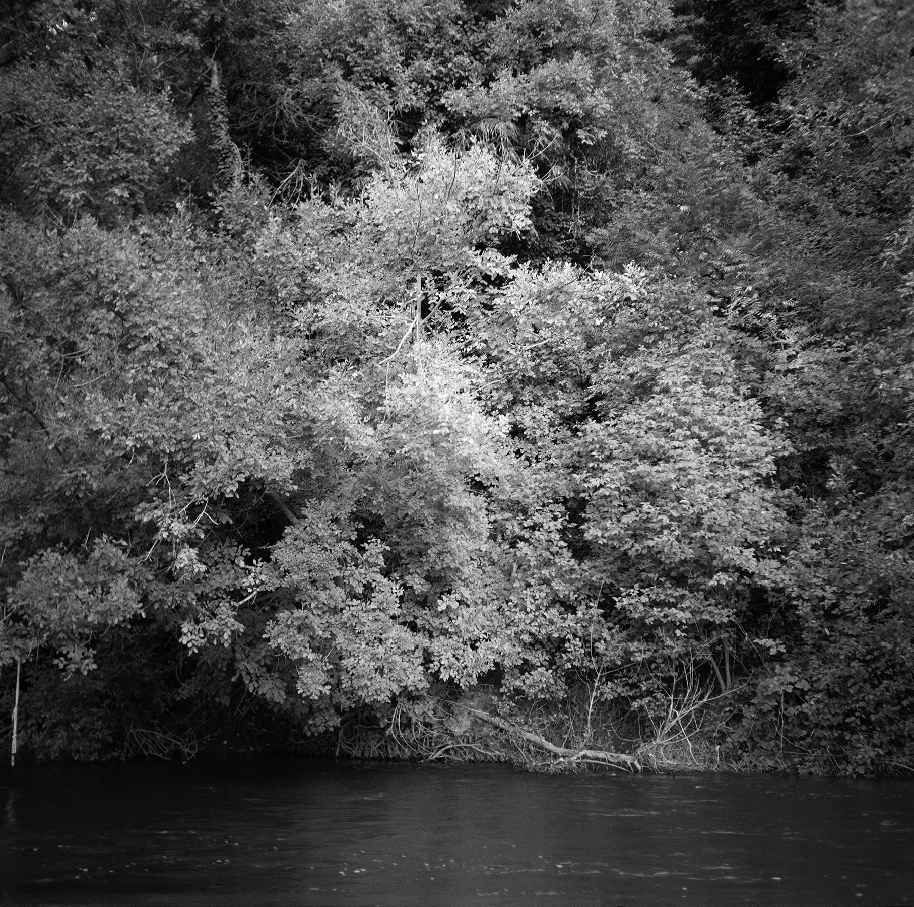 river bw edit resize.jpg