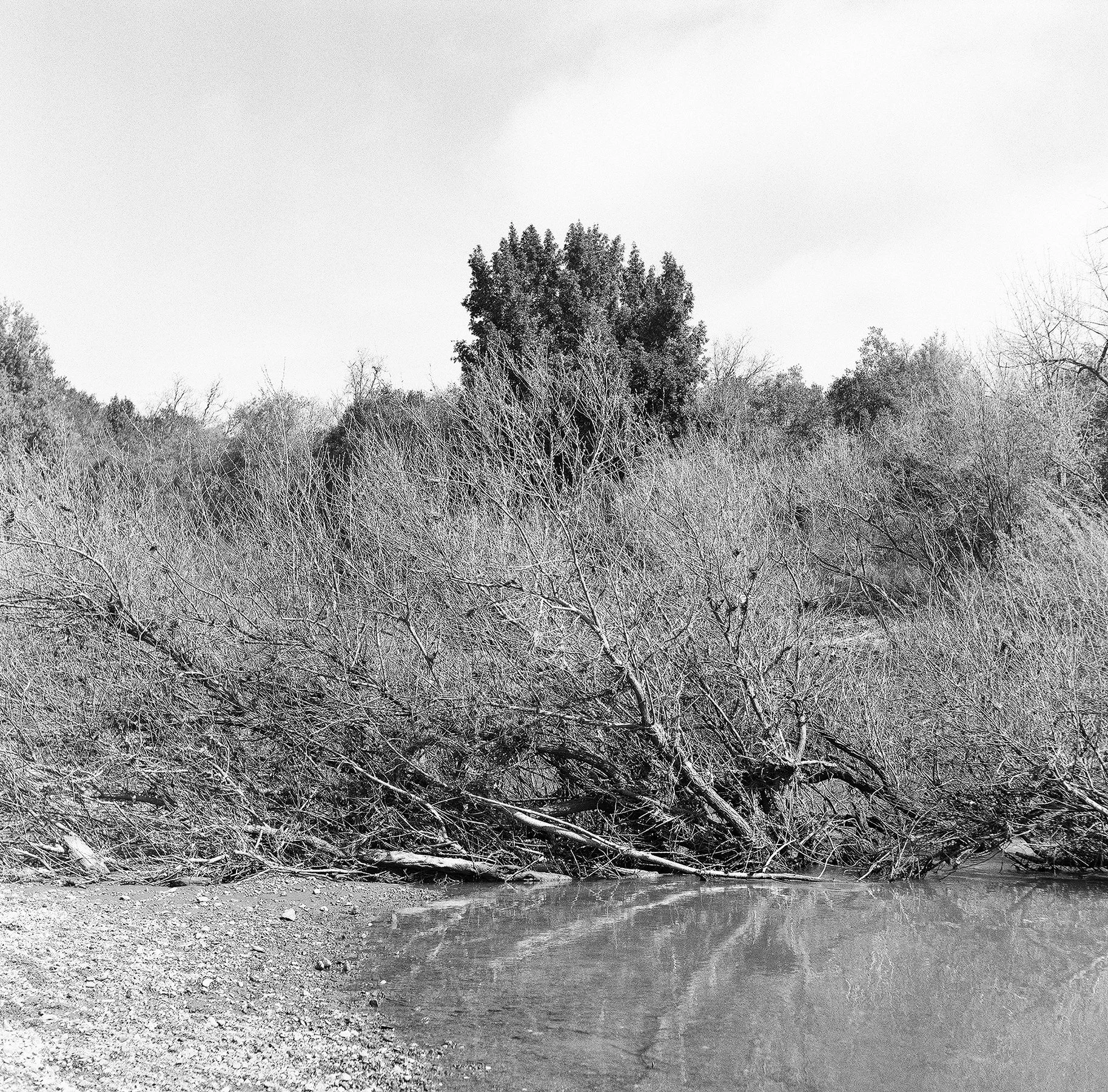 branch river resize.jpg