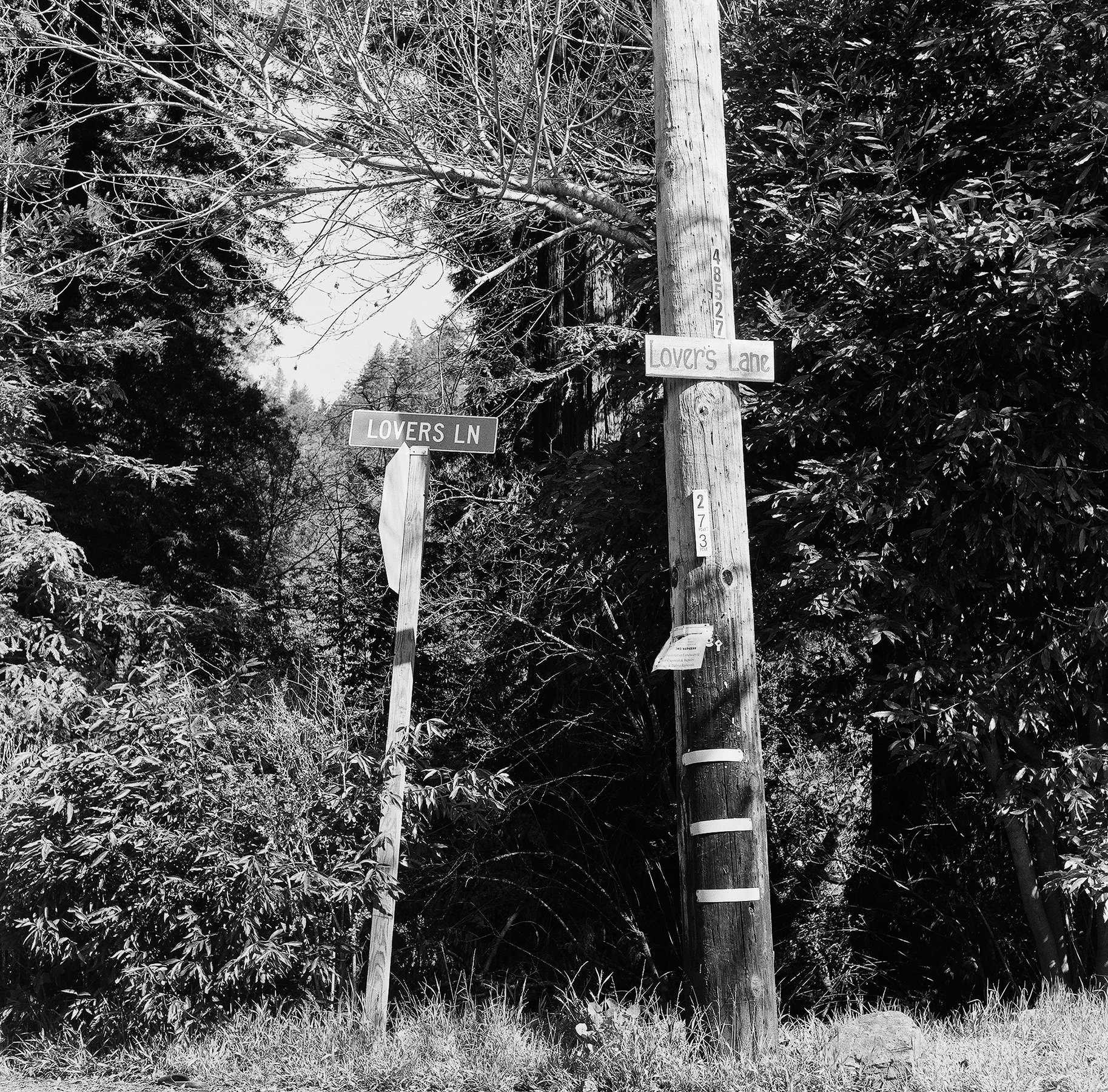 Lovers Lane resize.jpg