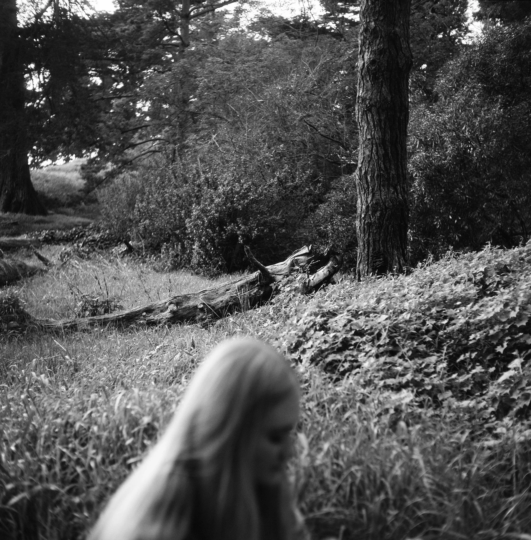 maddy grass resize gr.jpg