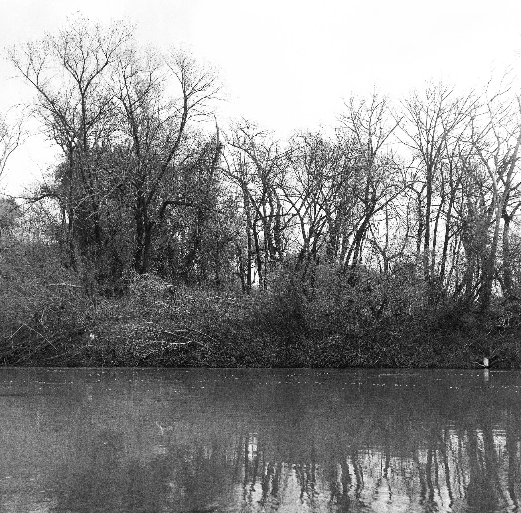 river wide shot resize.jpg