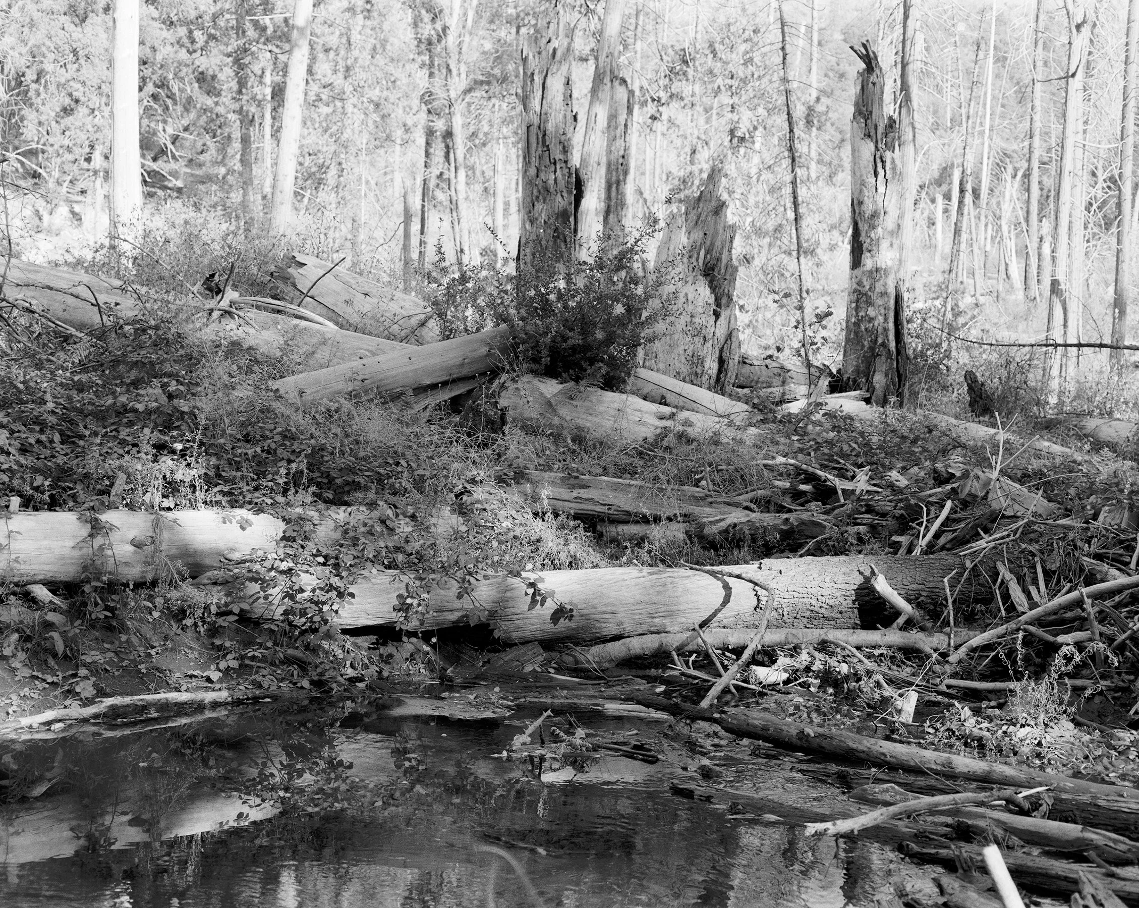 Yosemite Backcounty.jpg