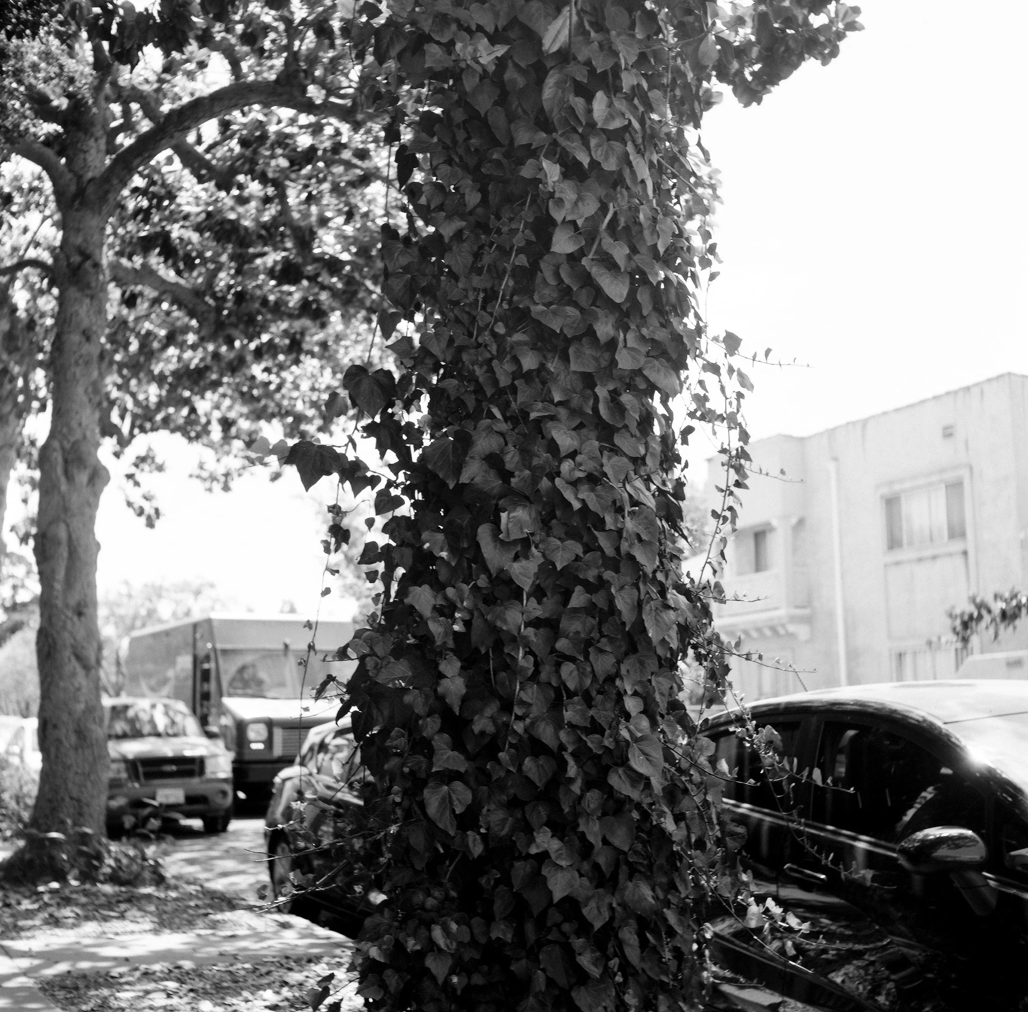 000077450008 copy.jpg.jpeg