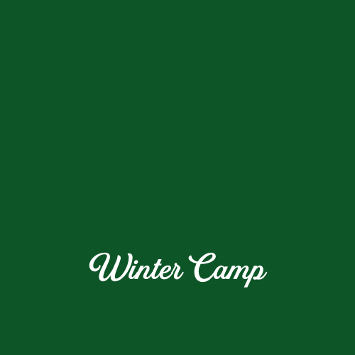 Winter Break Camp