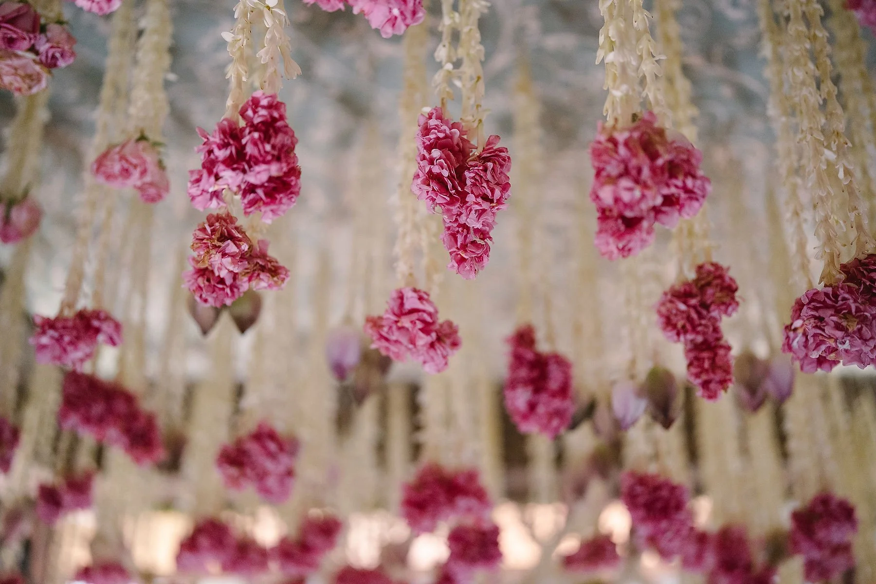 HIQ-AJ-WEDDING-1.JPG