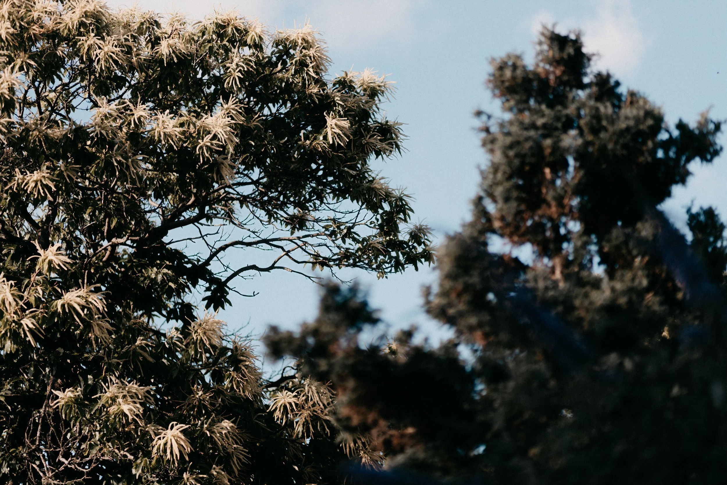 Ω0I6A1304-Edit-2.jpg
