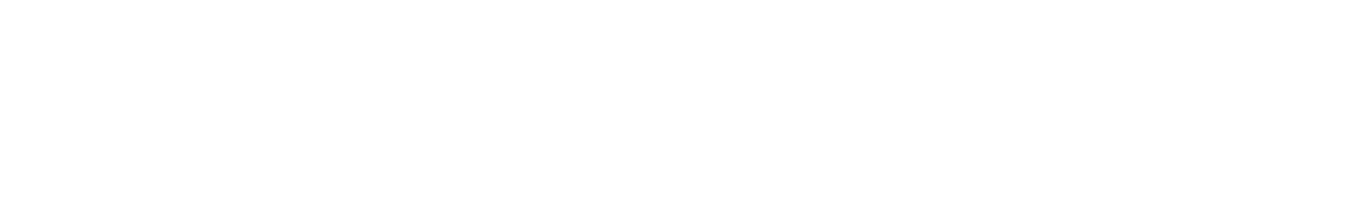 Dun & Bradstreet logo white
