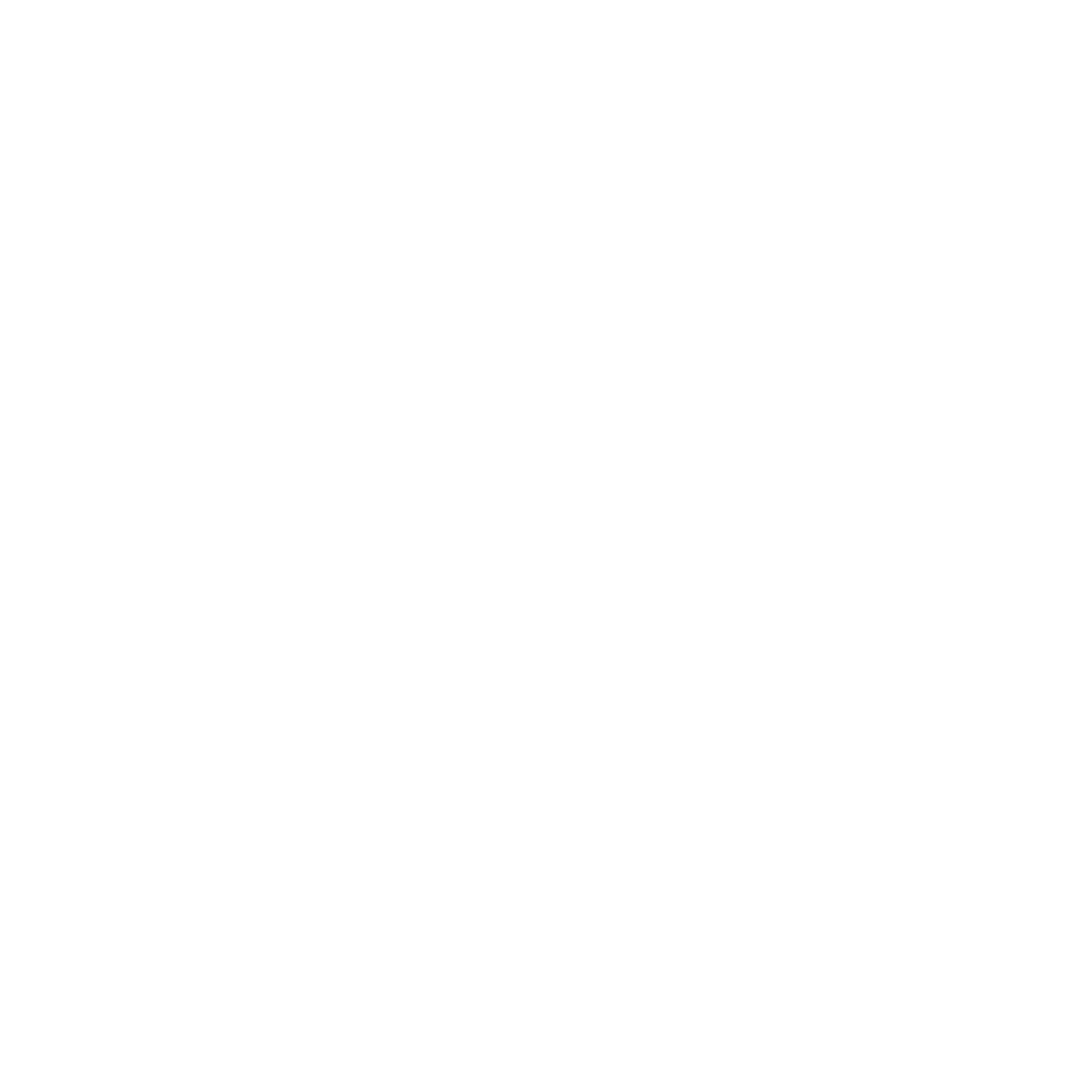 DataTribe Logo White