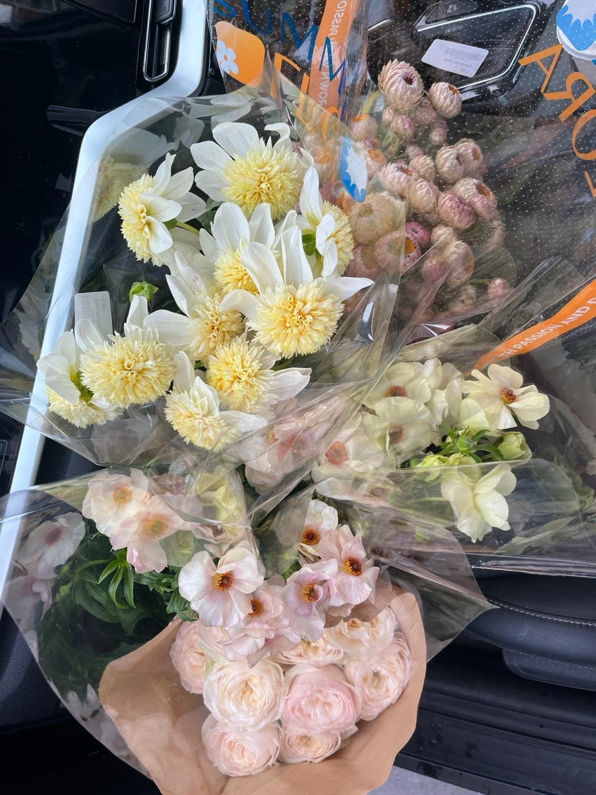 WhatsApp Image 2024-03-27 at 16.14.38.jpeg