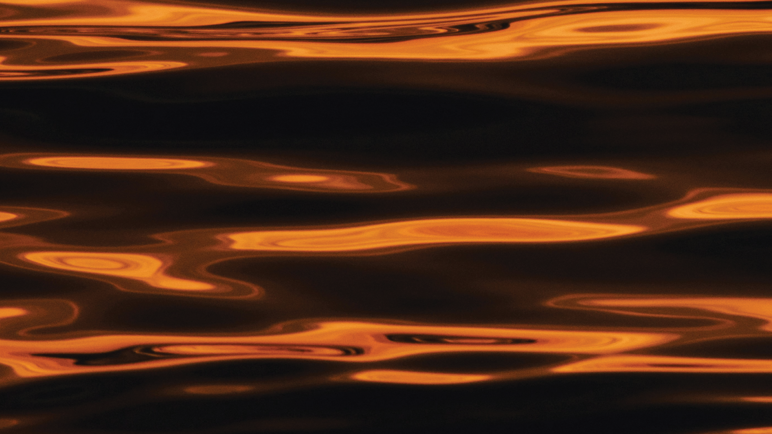Background Image.png