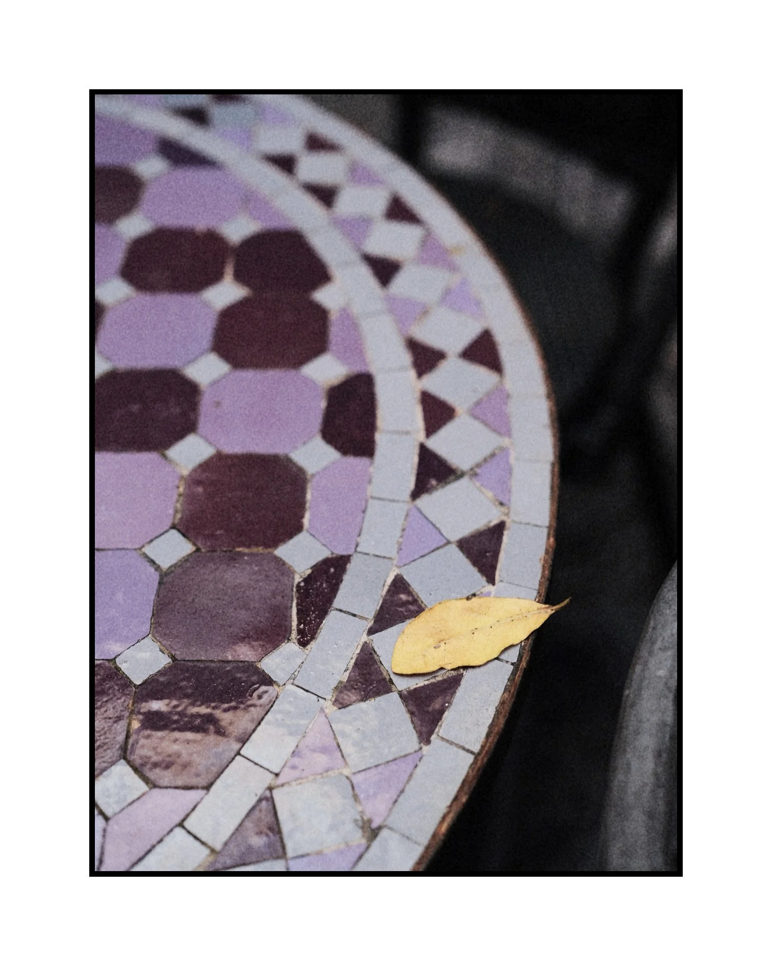 DSCF9233%20Edited Edited.JPG