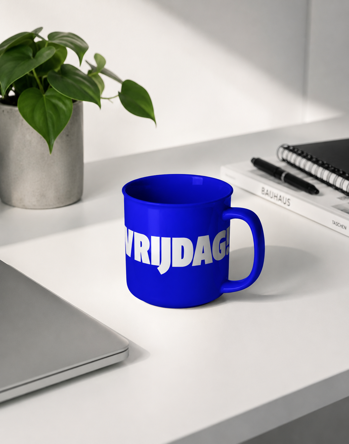 VRIJDAG!mok.png