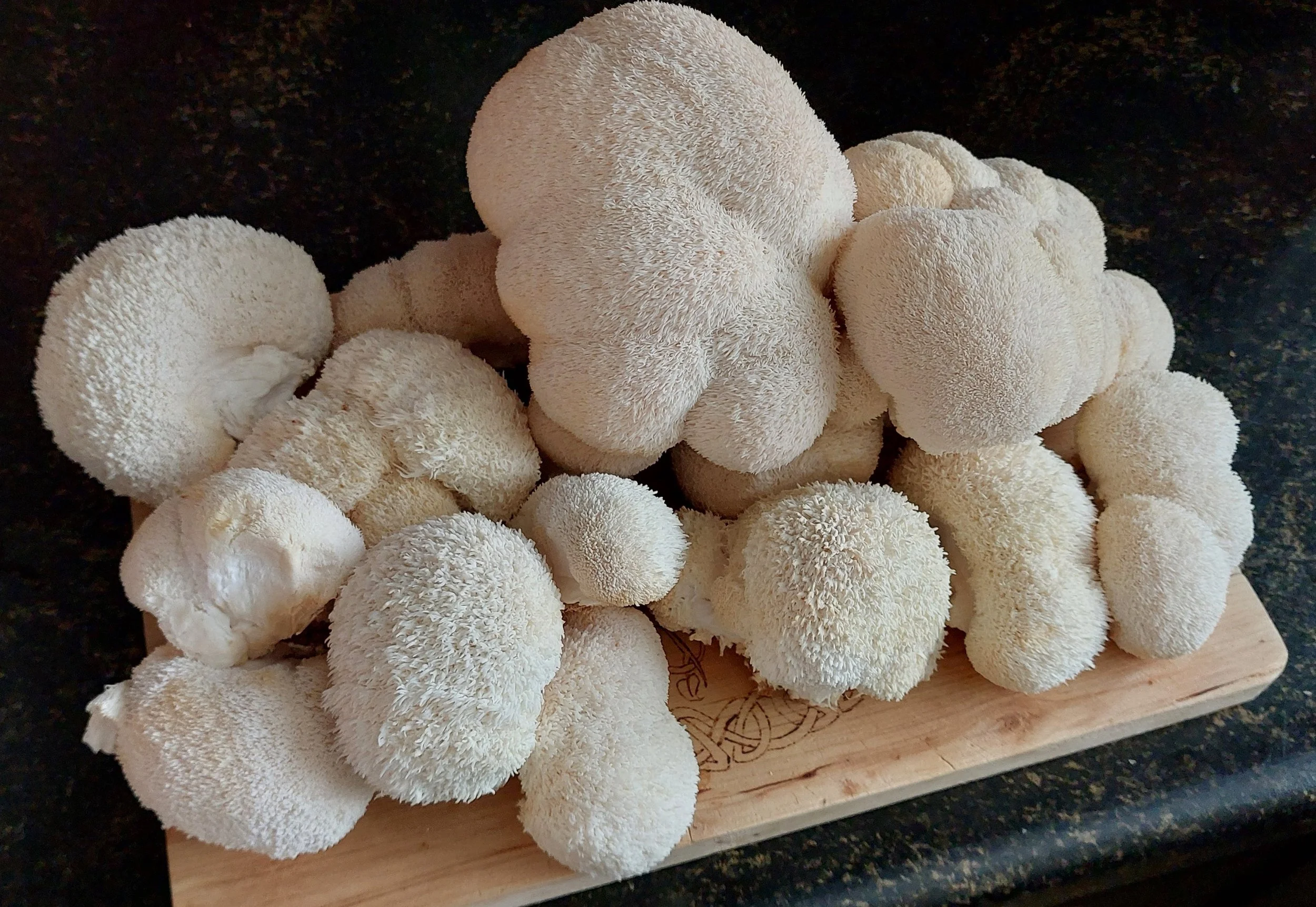 Knapperige Lions Mane nuggets