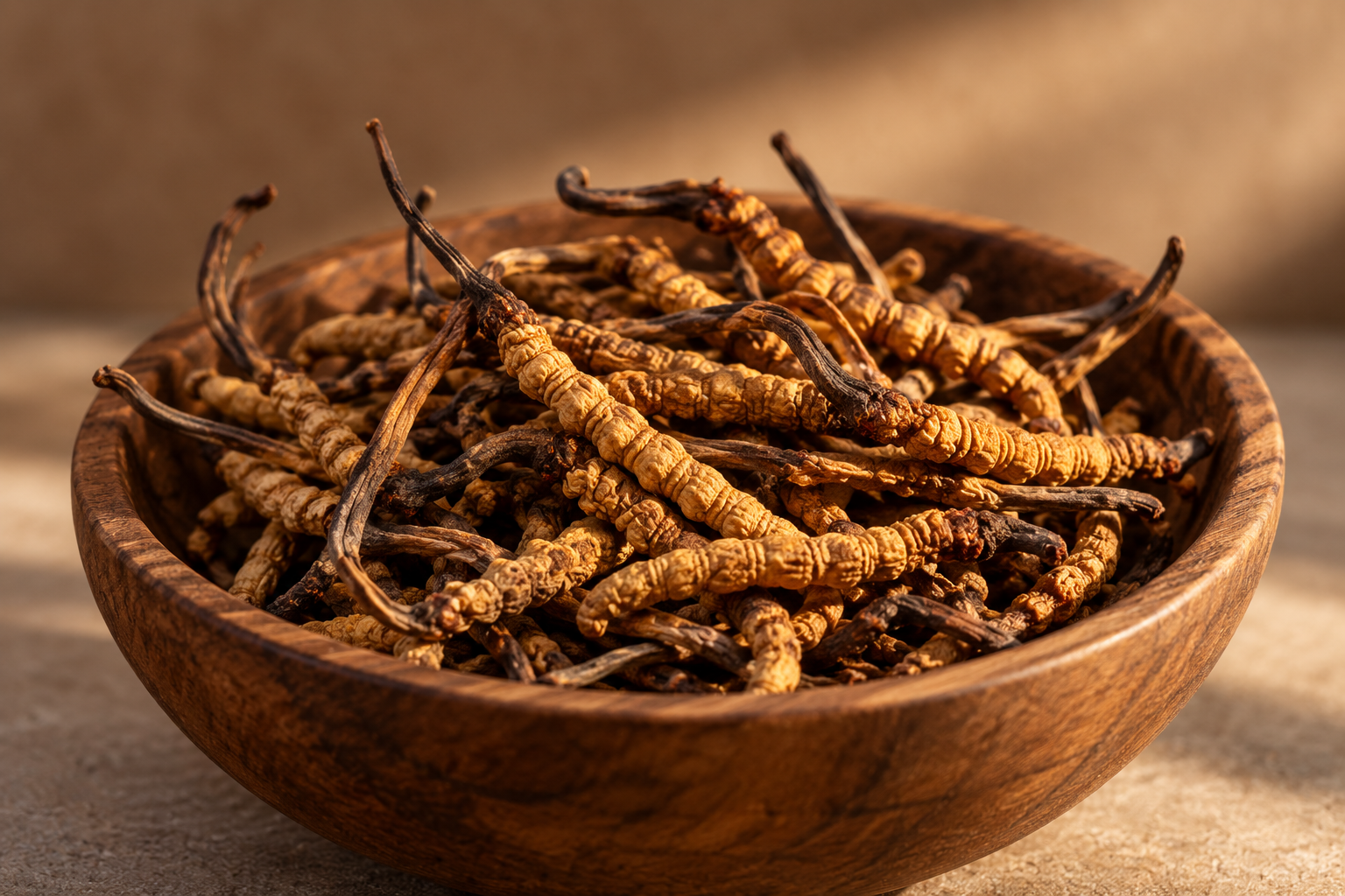 Houten kom met gedroogde cordyceps sinensis