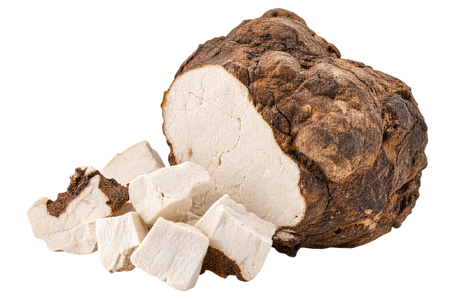 Poria Cocos paddenstoel