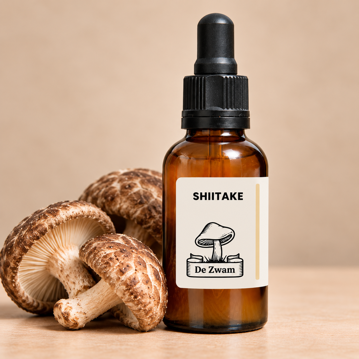 Shiitake tinctuur met verse shiitake.png