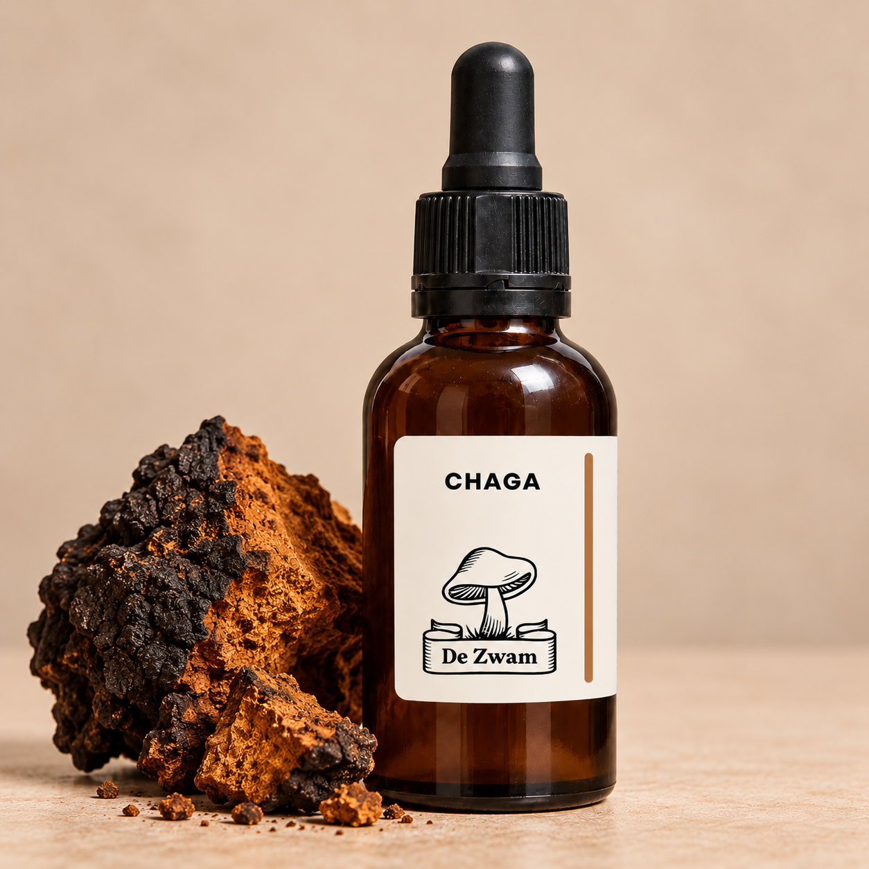 Chaga tinctuur met gedroogde Chaga.png
