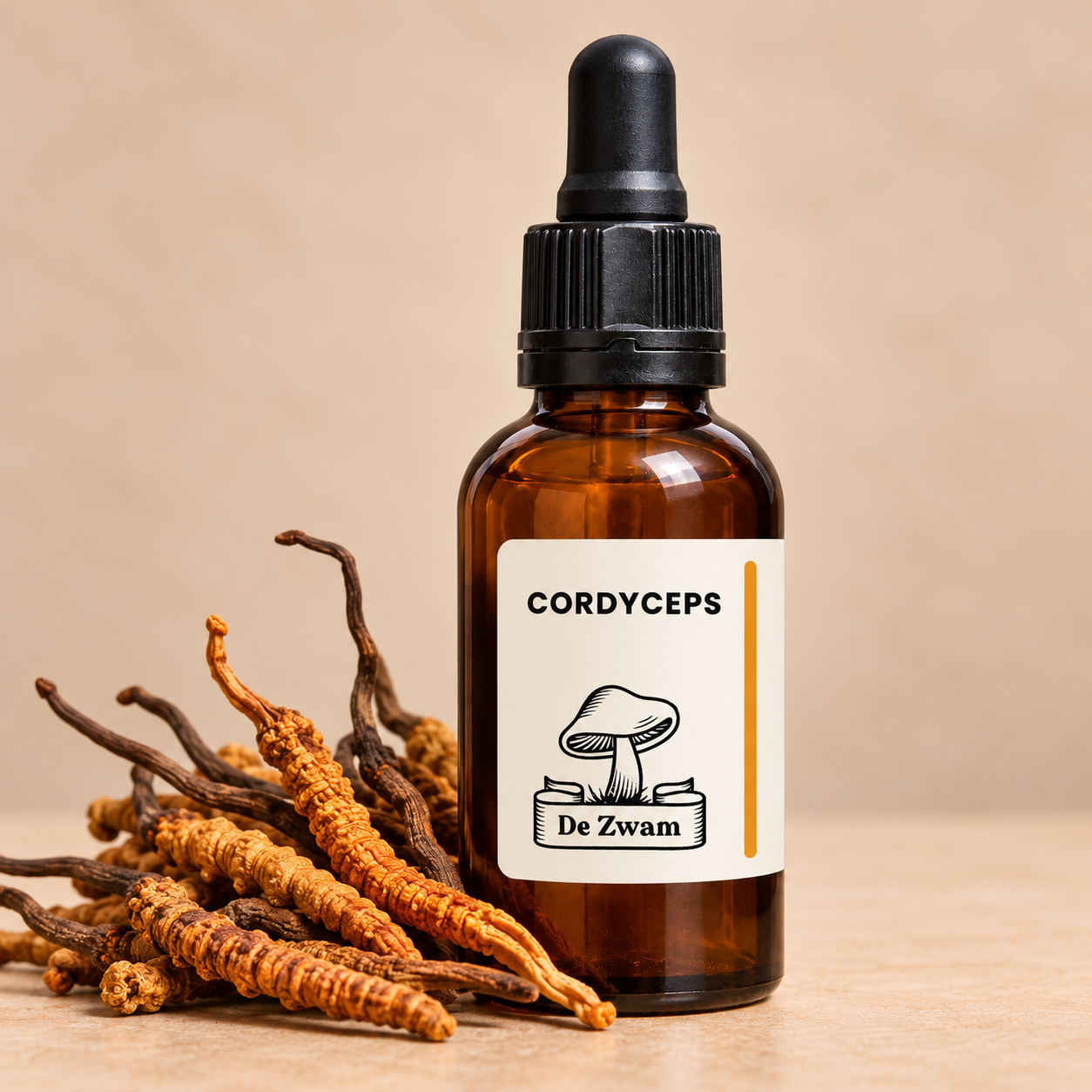 Cordyceps tinctuur met gedroogde Cordyceps.png