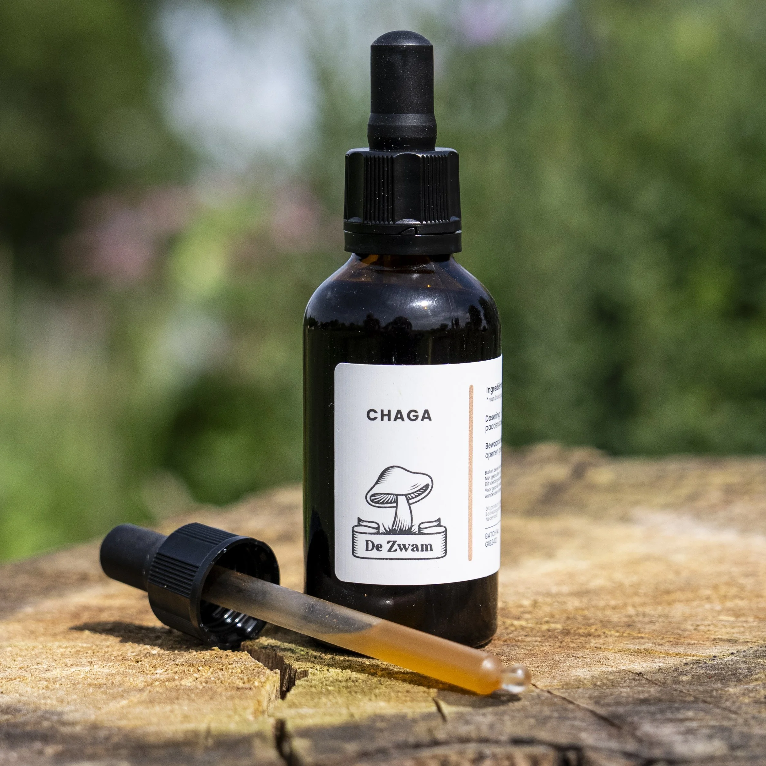 Chaga tinctuur van De Zwam in een donker flesje op een natuurlijke ondergrond