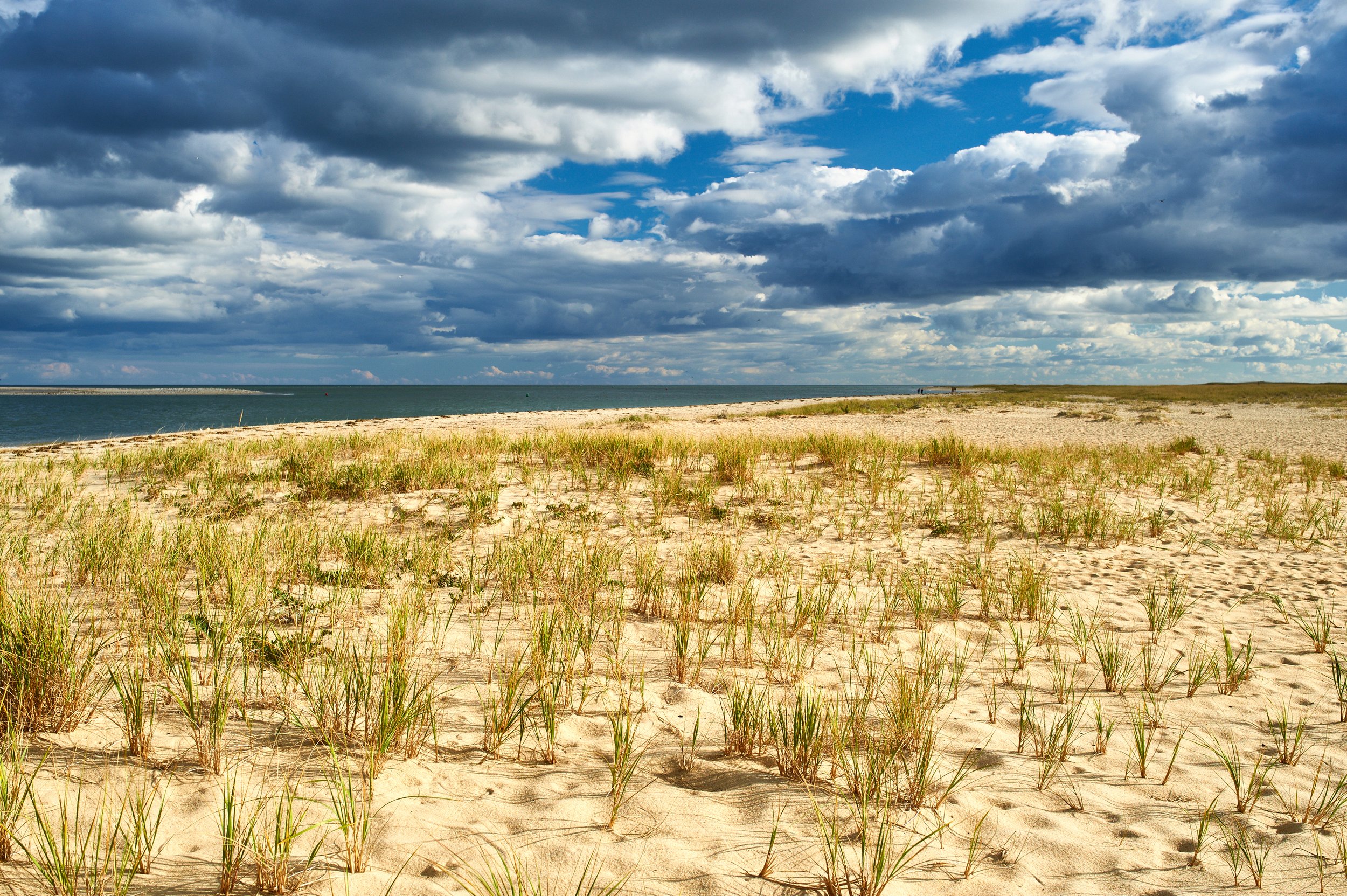 Sand dunes Cape cod Mass.jpg