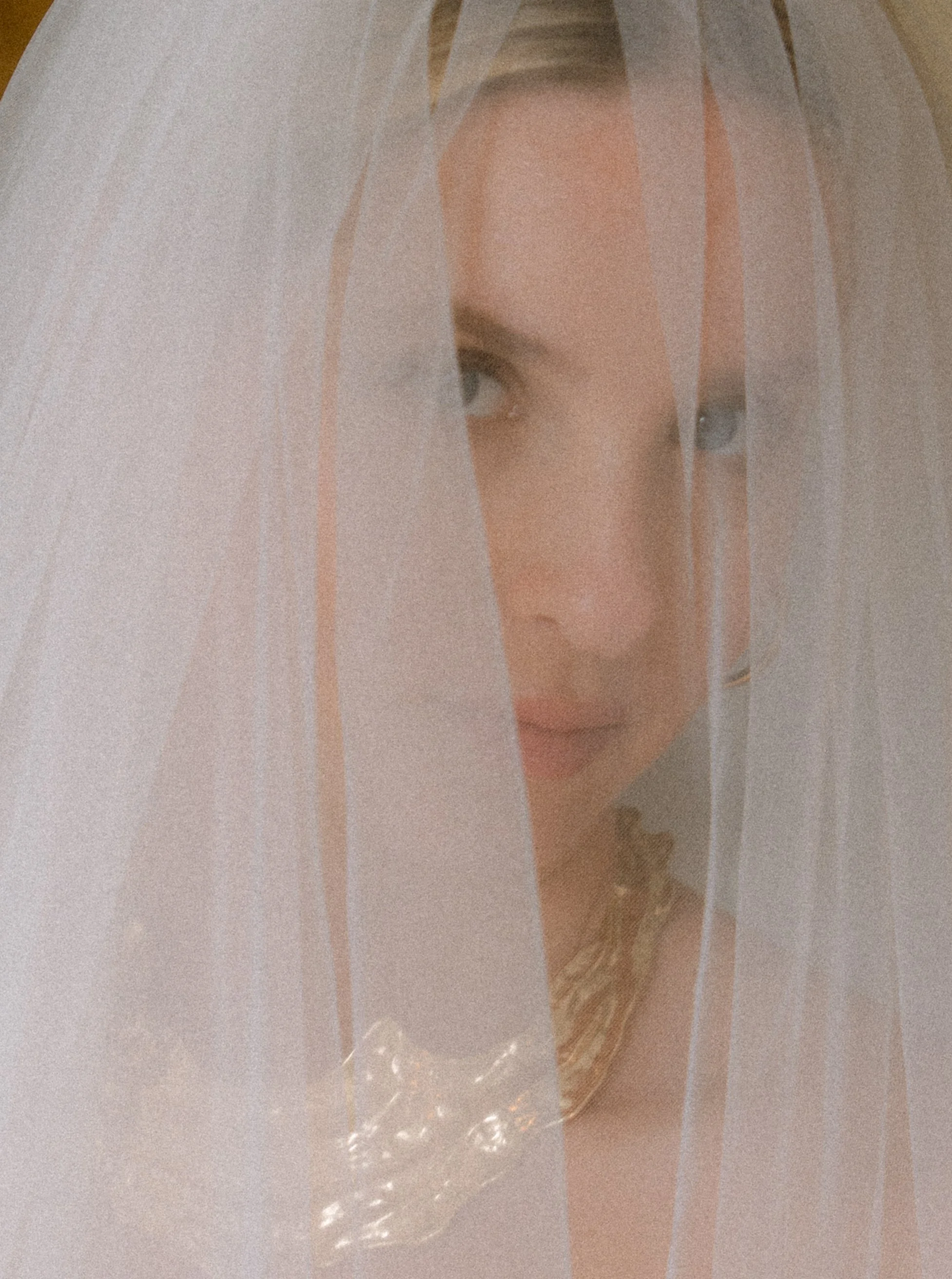 @veo_media_ Photography00002.jpg