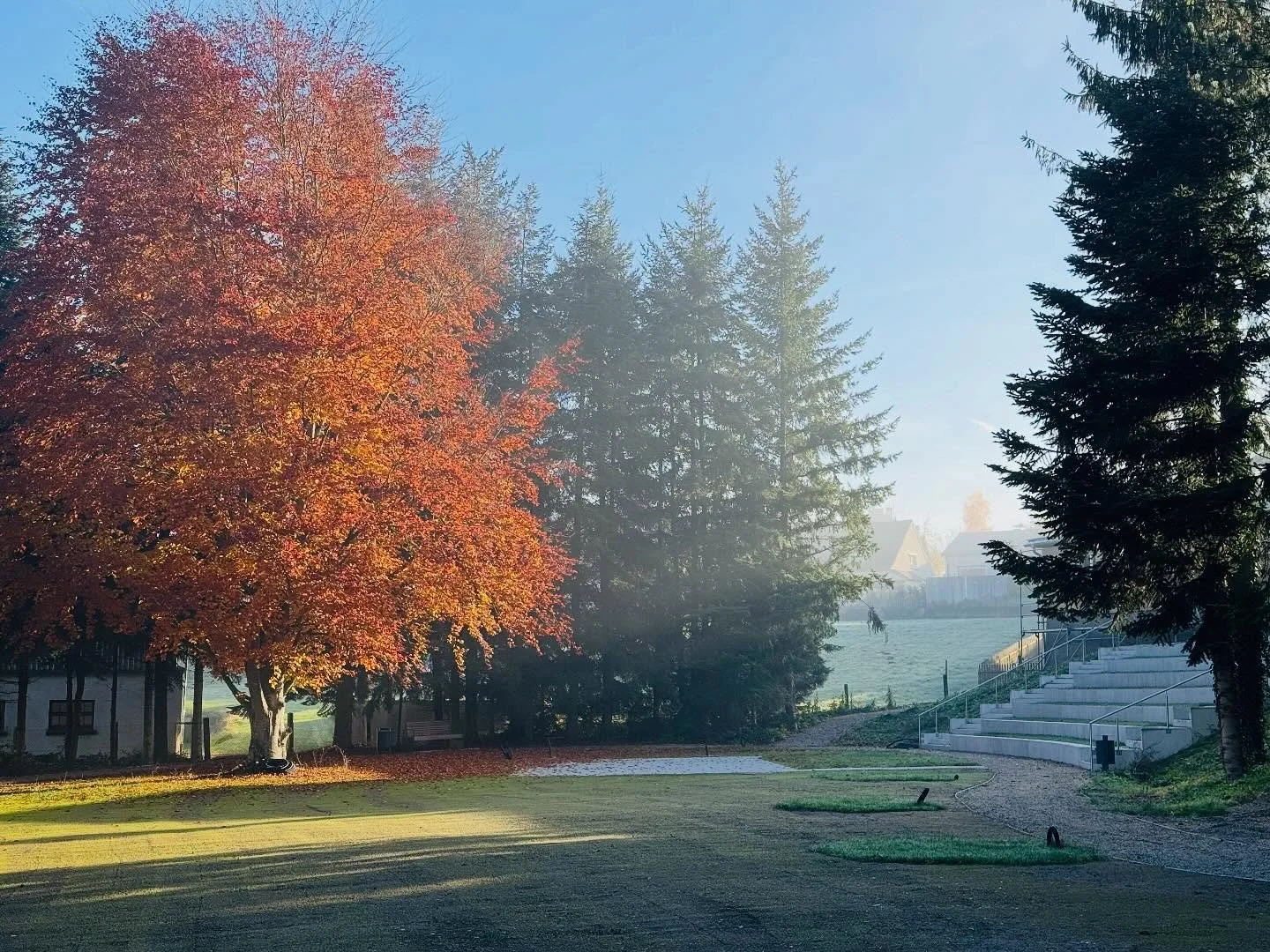 Baustellenromantik 🍁

Projekt: Kultur- und Skulpturenpark

#herbstvibes #bunteblatter #herbstfarben #freiraumplanung #landschaftsarchtitektur
#landscapearchitecture #autumncolours #autumn #autumnvibes #goldenestunde #herbstromantik #baustellenromant