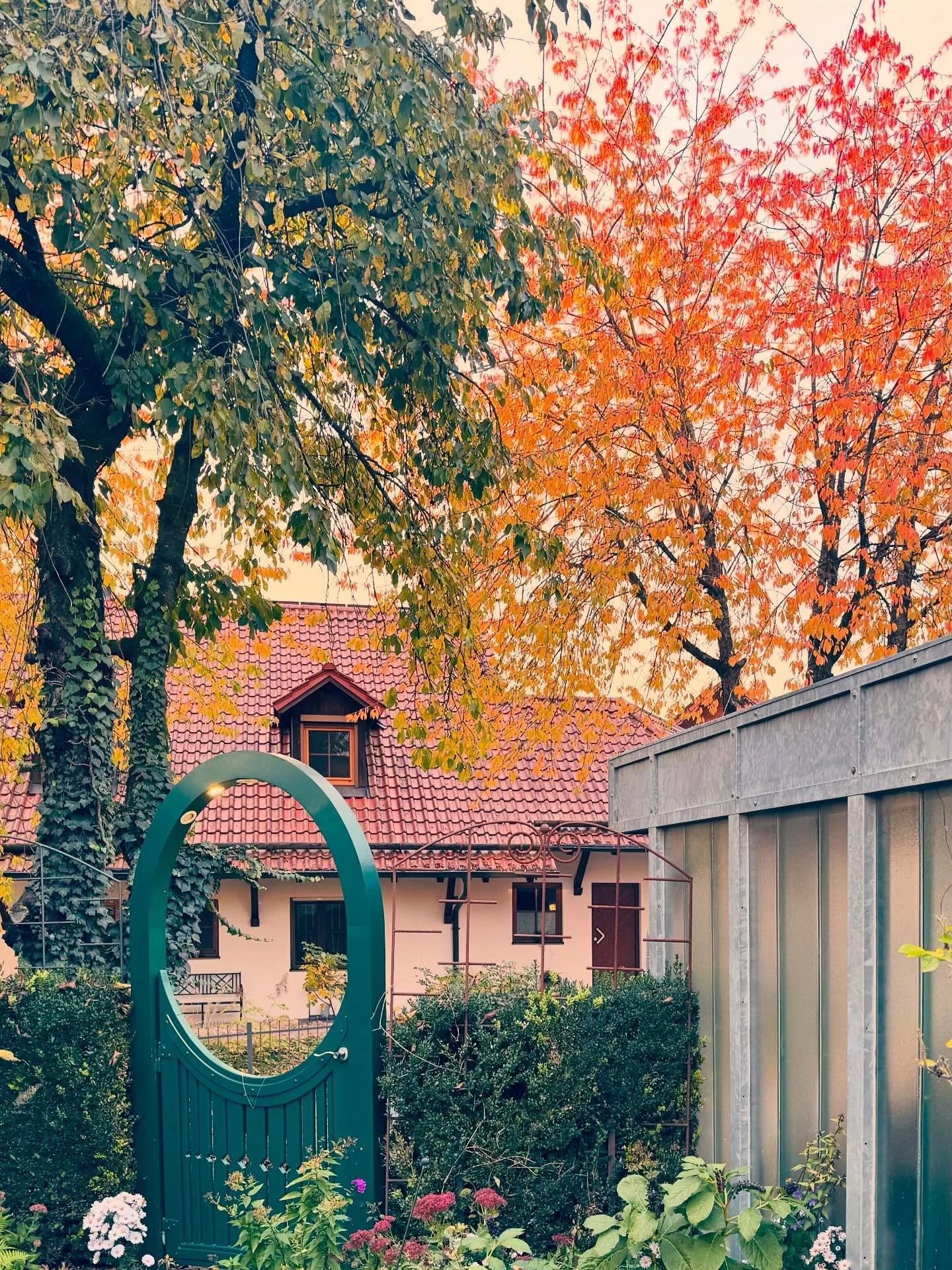 Herbststimmung im B&uuml;ro 🍁🍂🌰

#herbstvibes #bunteblatter #herbstfarben #freiraumplanung #landschaftsarchtitektur
#landscapearchitecture #autumncolours #autumn #autumnvibes #goldenestunde #goldeneroktober