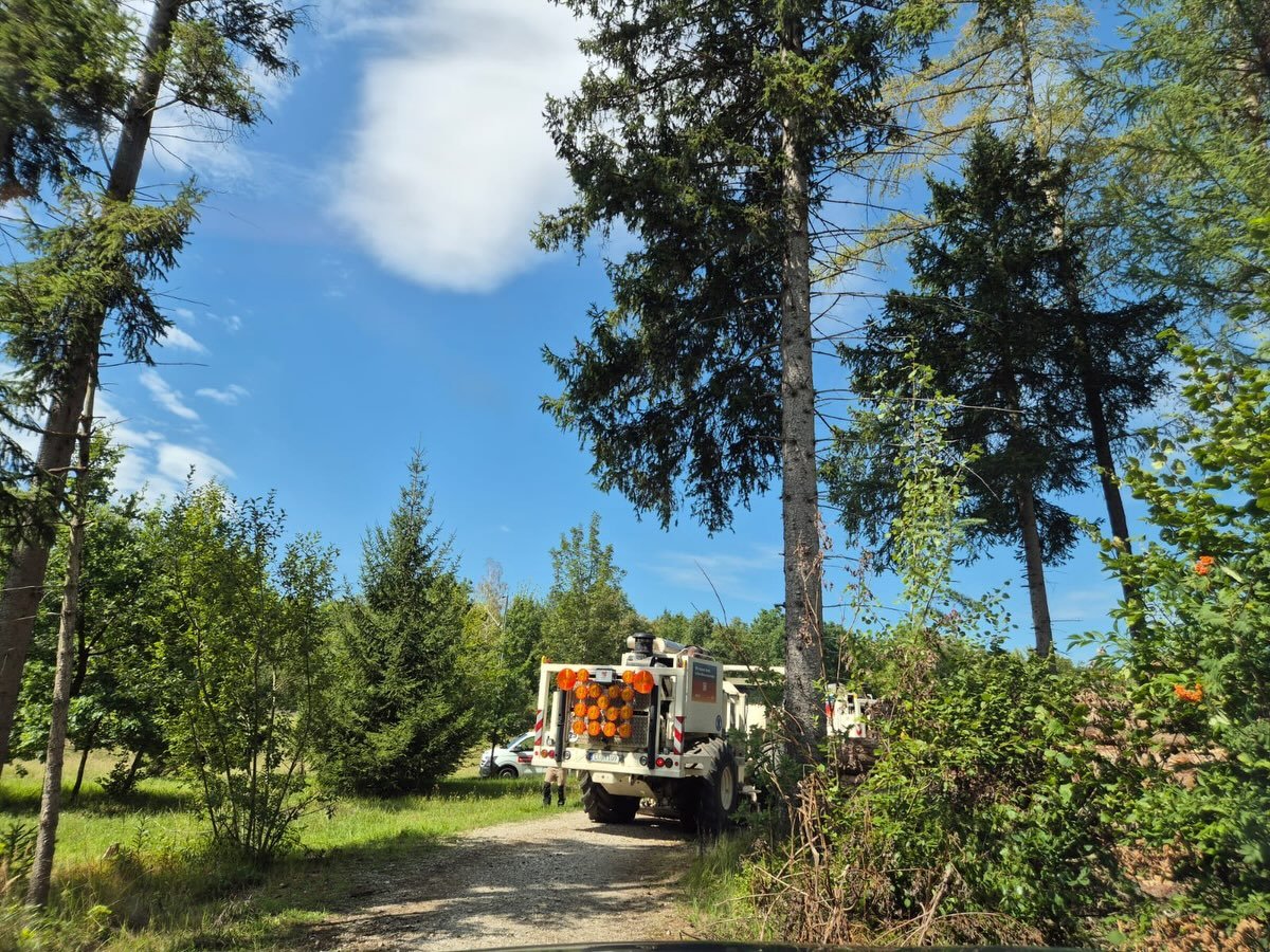 🌿 Als &ouml;kologische Baubegleitung &uuml;berwachen wir aktuell die Feldarbeiten der seismischen Untersuchungen im Perlacher Forst.
Die ersten Vibrotrucks sind bereits im Einsatz. Dabei achten wir darauf, dass die Arbeiten m&ouml;glichst naturvertr