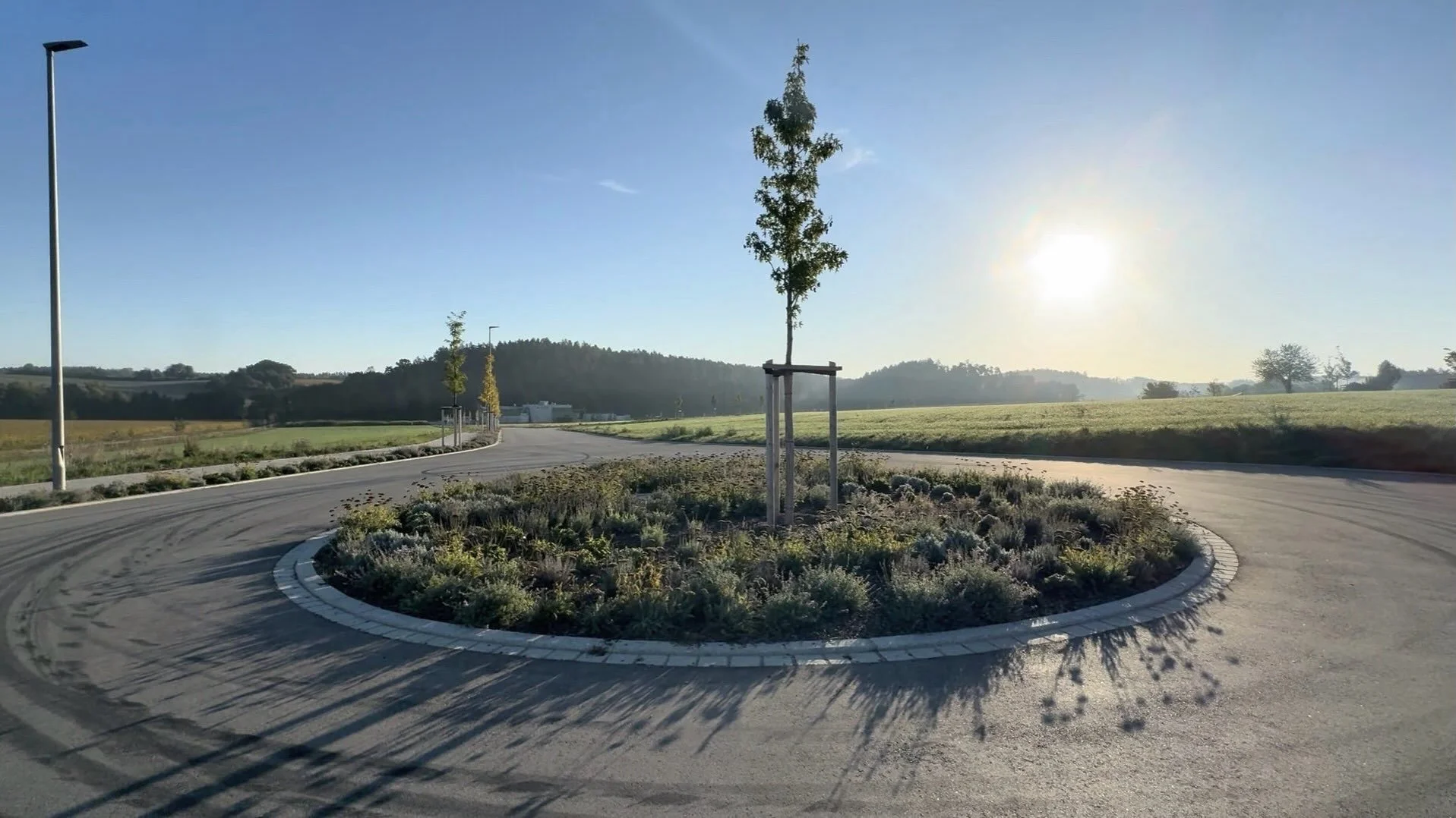 Herbststimmung am Wasserstoffzentrum Pfeffenhausen 🍁
Unsere Bepflanzung im herbstlichen Licht ✨ 
Von der Idee &uuml;ber den Pflanzplan bis zur Bauleitung durften wir das Projekt als Landschaftsarchitekten begleiten.&nbsp; 

#Landschaftsarchitektur #