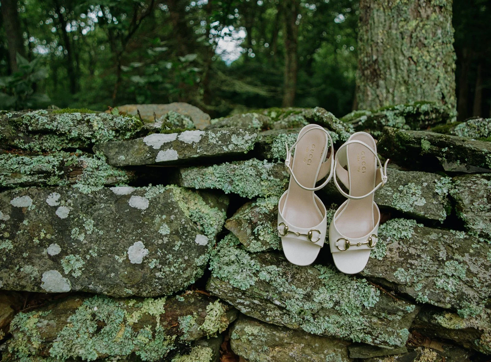 paige-henry-wedding-previews-elizabeth-sellers-photo-13.jpg