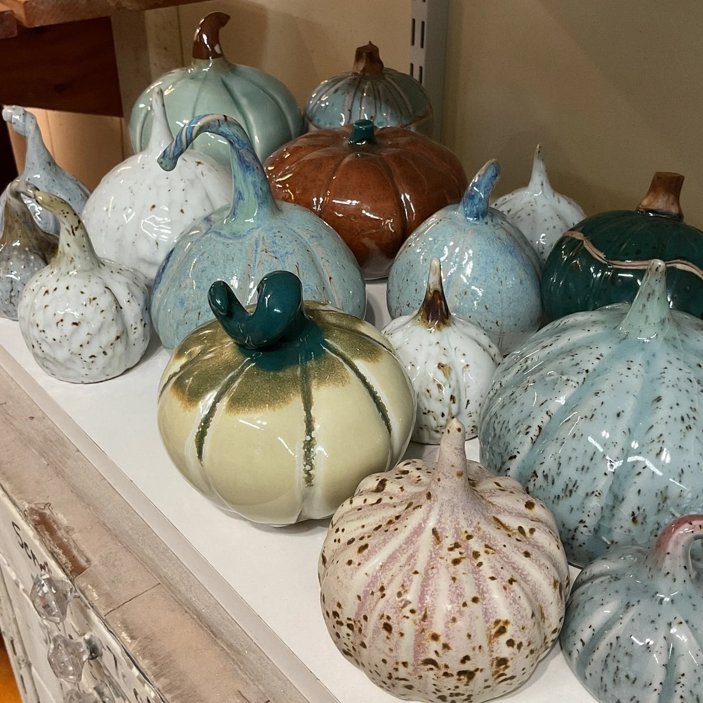 Our pumpkin patch re-sprouted!