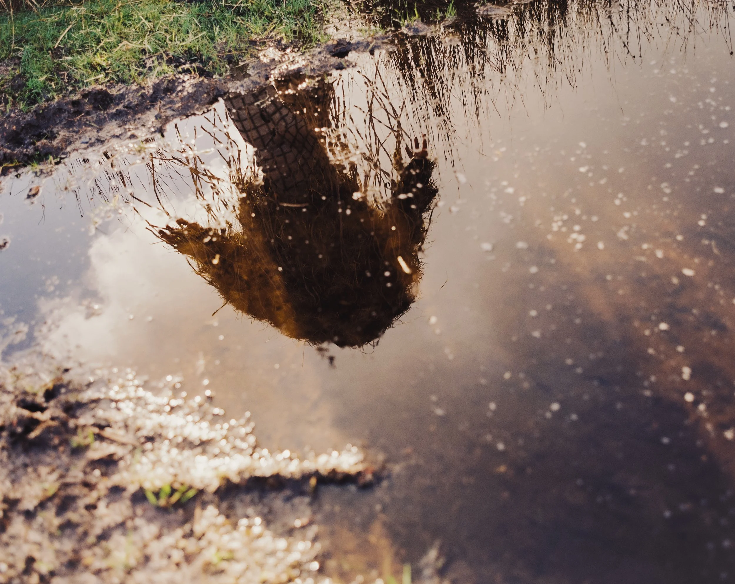 Ali Periam 7045 03.jpg