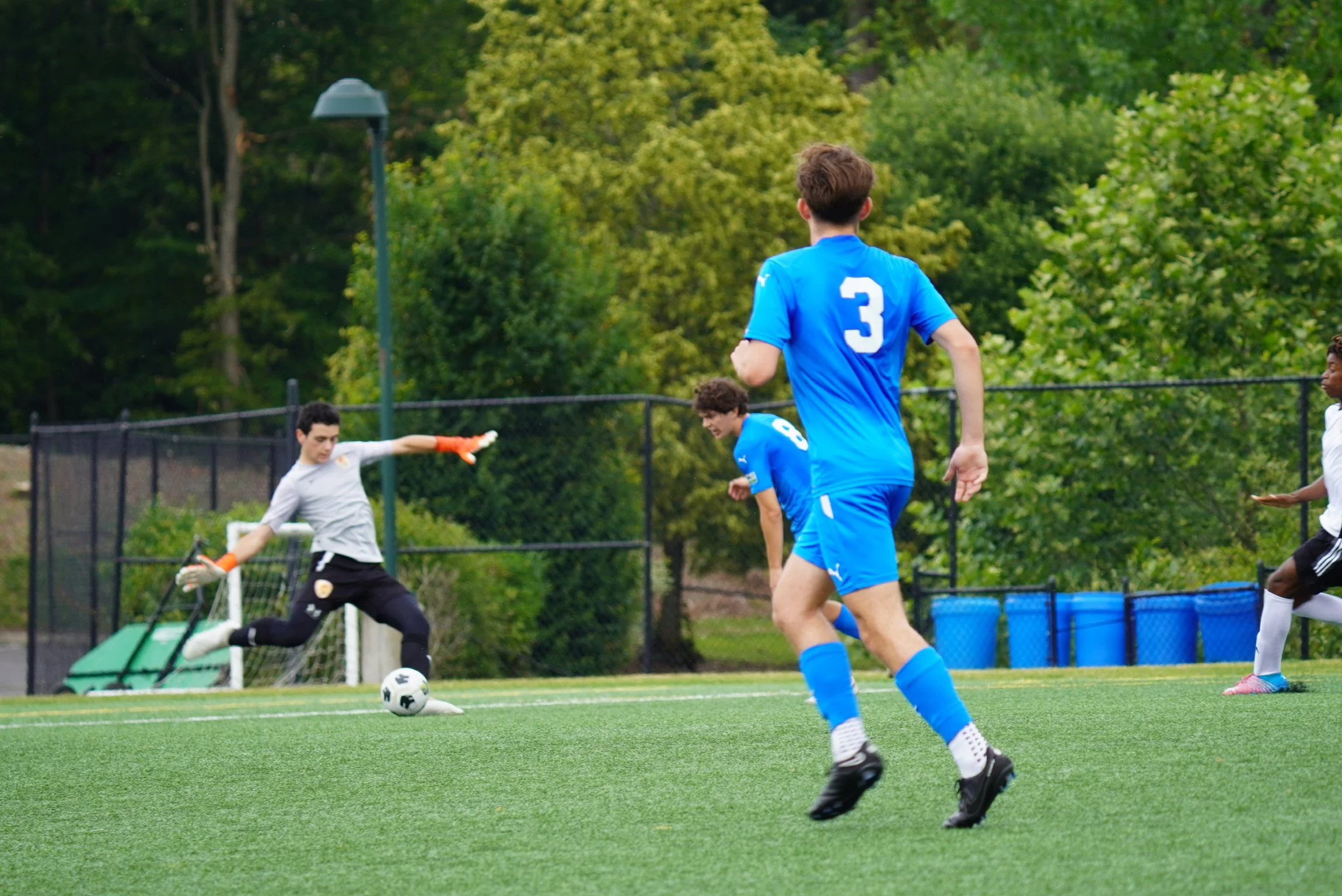 ORG_DSC01703.JPG