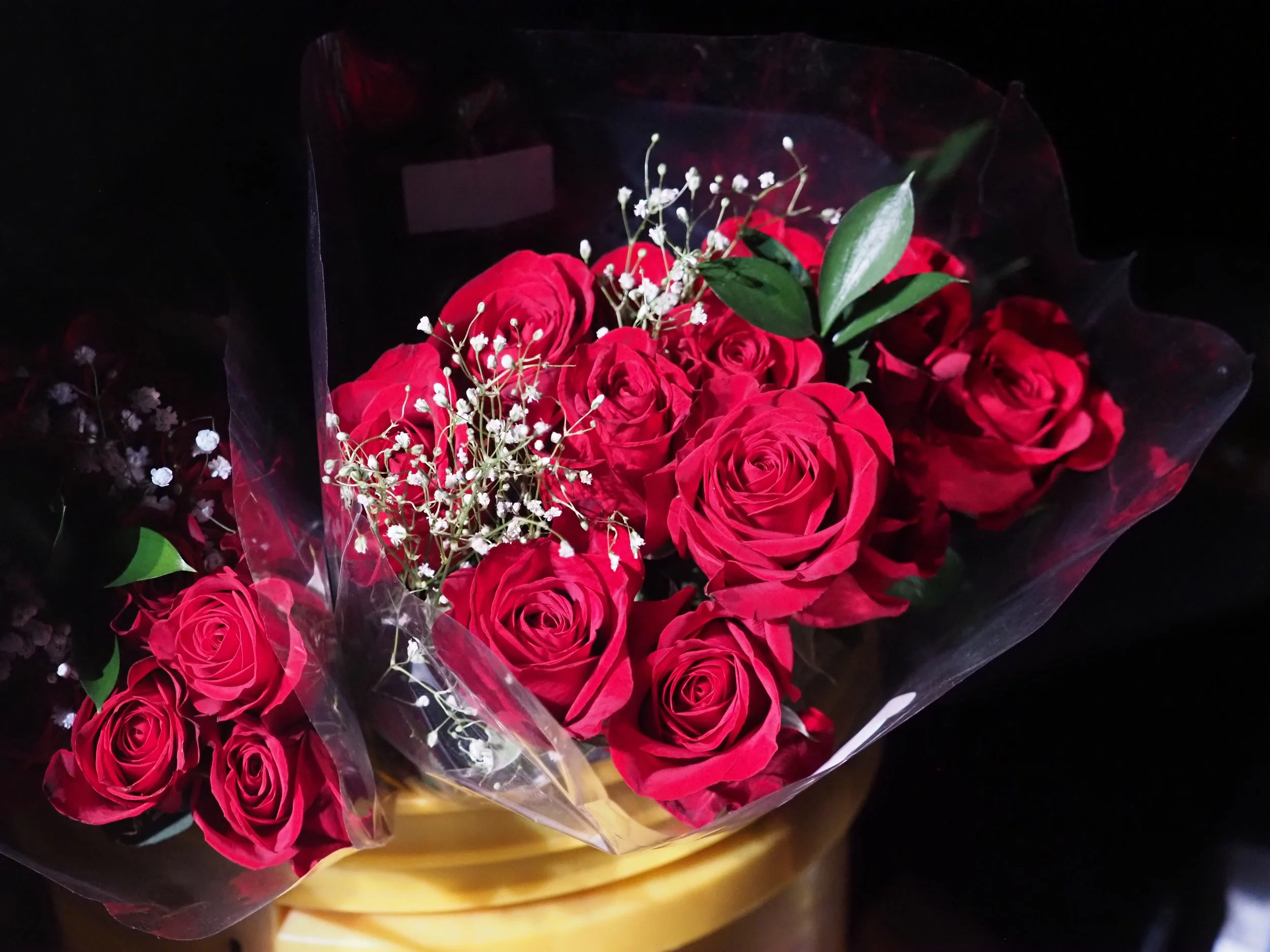 MCC25AP1190798_resize.JPG