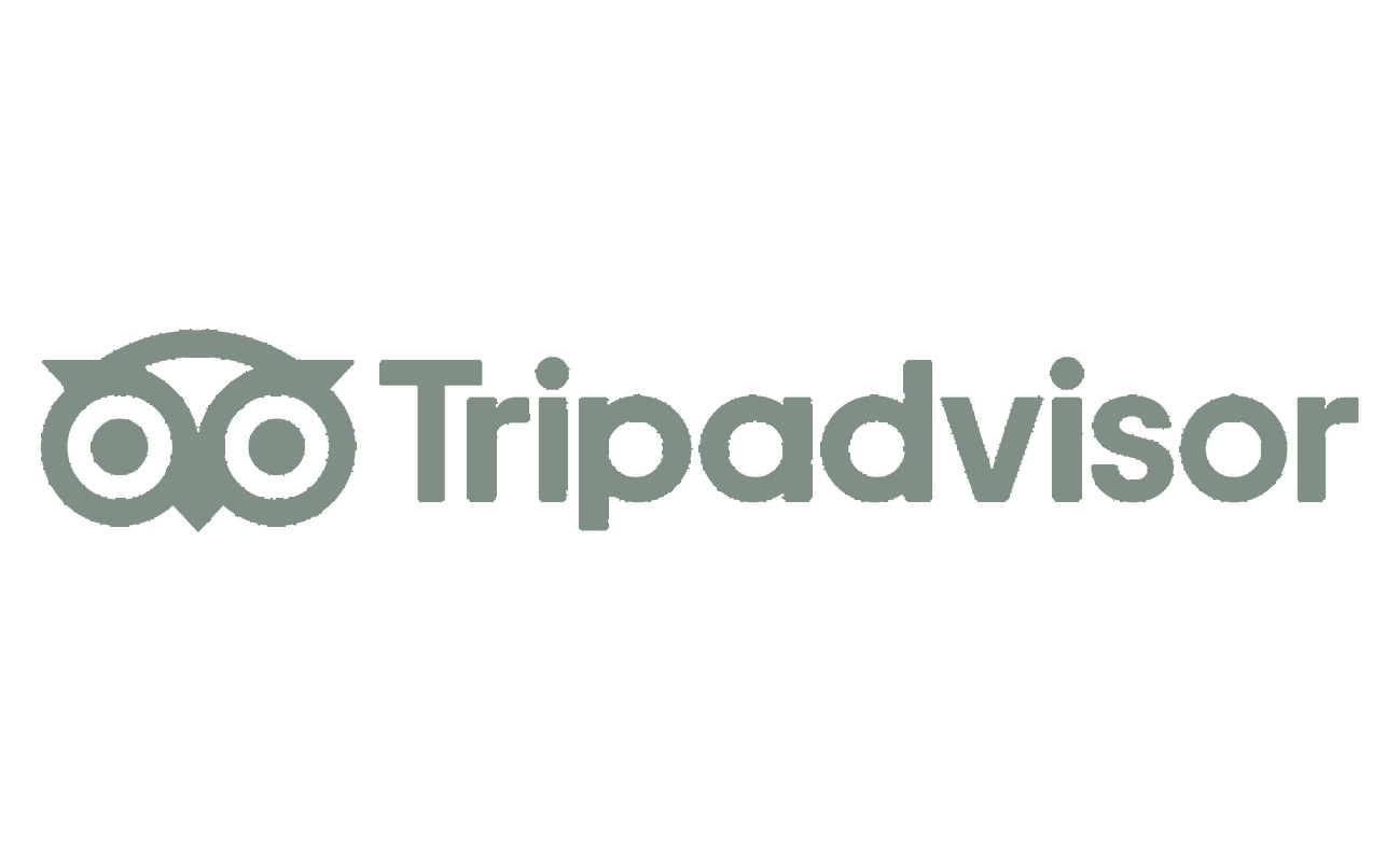 Tripadvisor Reviews