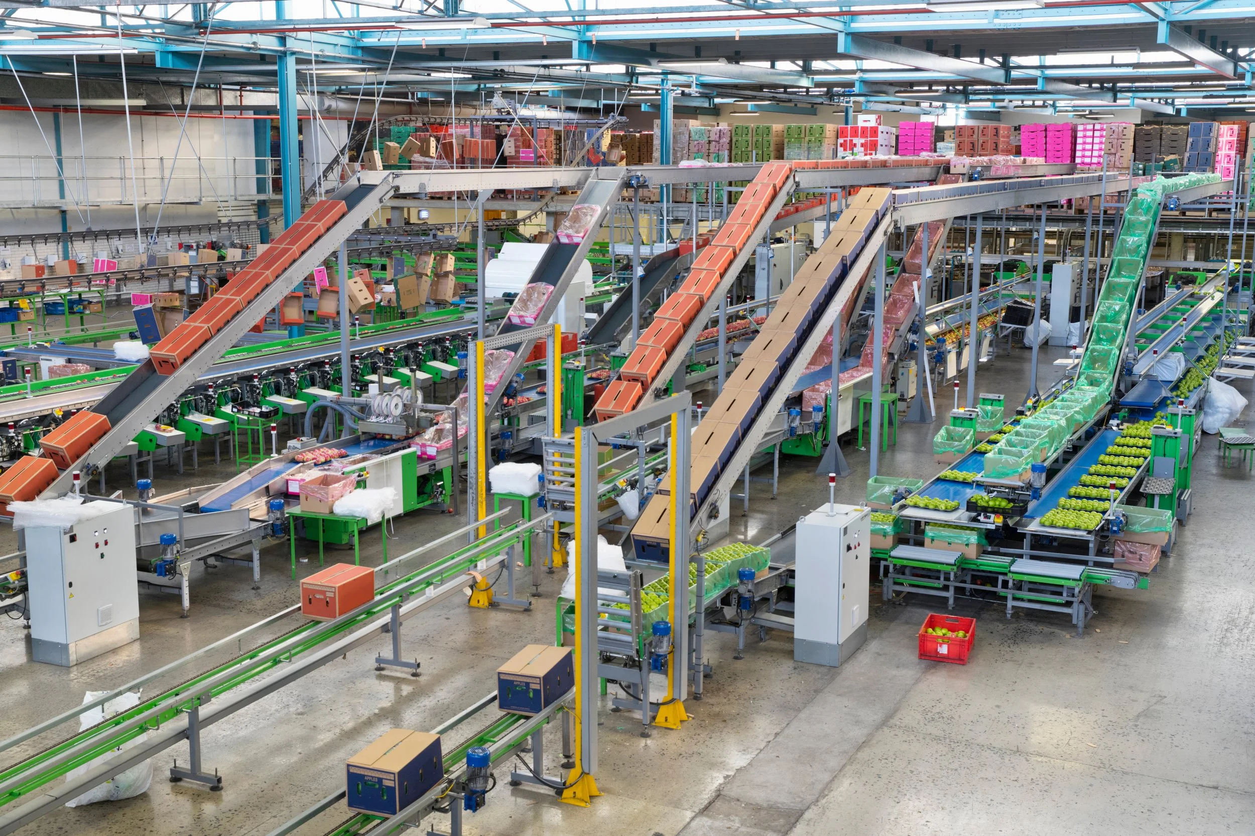 Interior view of an automated food and grocery distribution hub with produce being transported on conveyor systems.