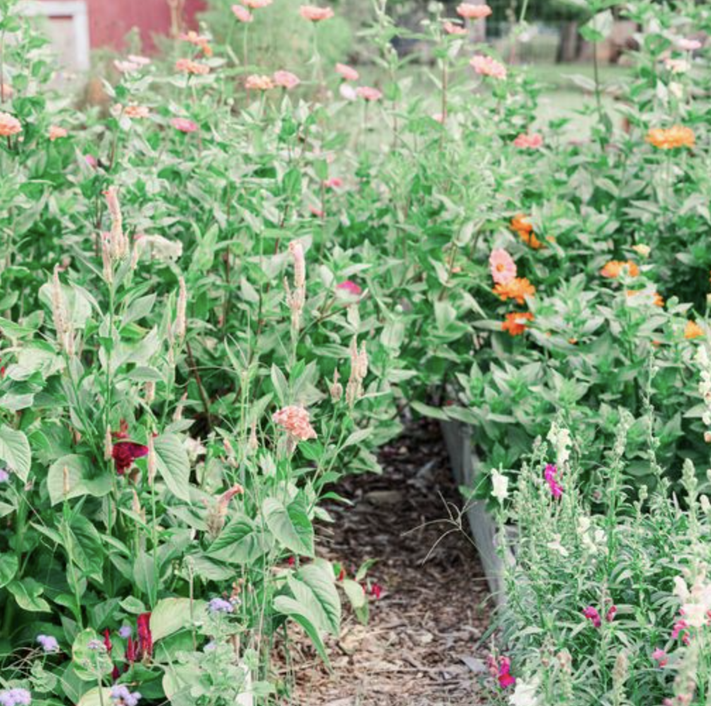 Screenshot 2024-05-30 at 11.21.58 AM.png