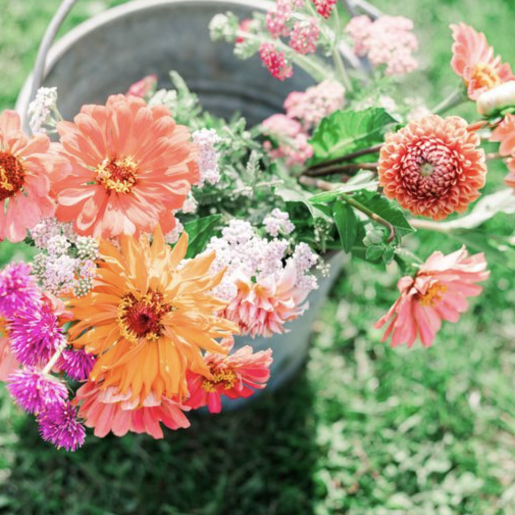 Screenshot 2024-05-30 at 11.22.18 AM.png