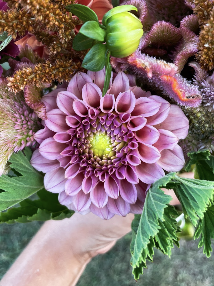 Screenshot 2024-05-30 at 11.25.14 AM.png